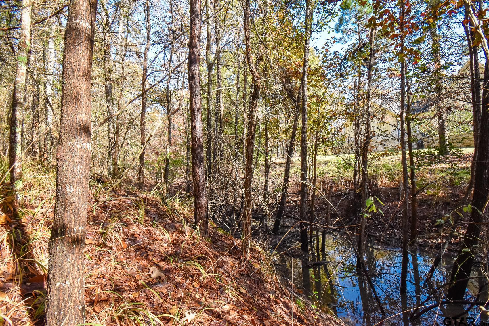 15349 Reserve Blvd, Tyler, Texas image 3