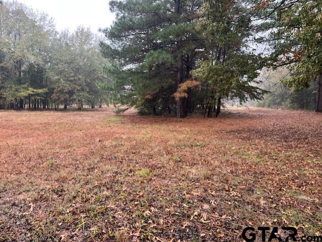 393 Cr 3144, Quitman, Texas image 44