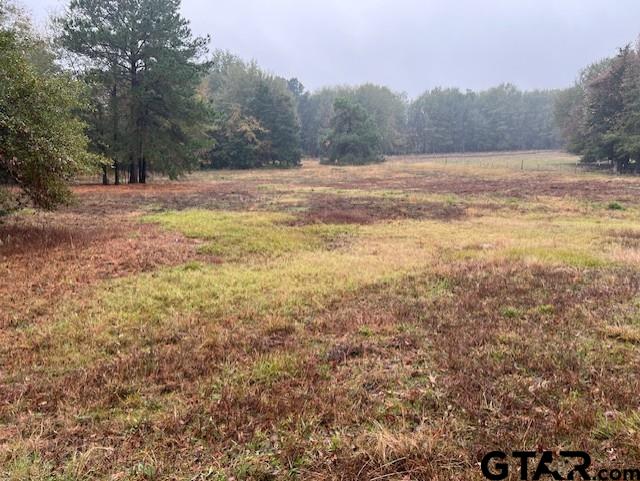 393 Cr 3144, Quitman, Texas image 46