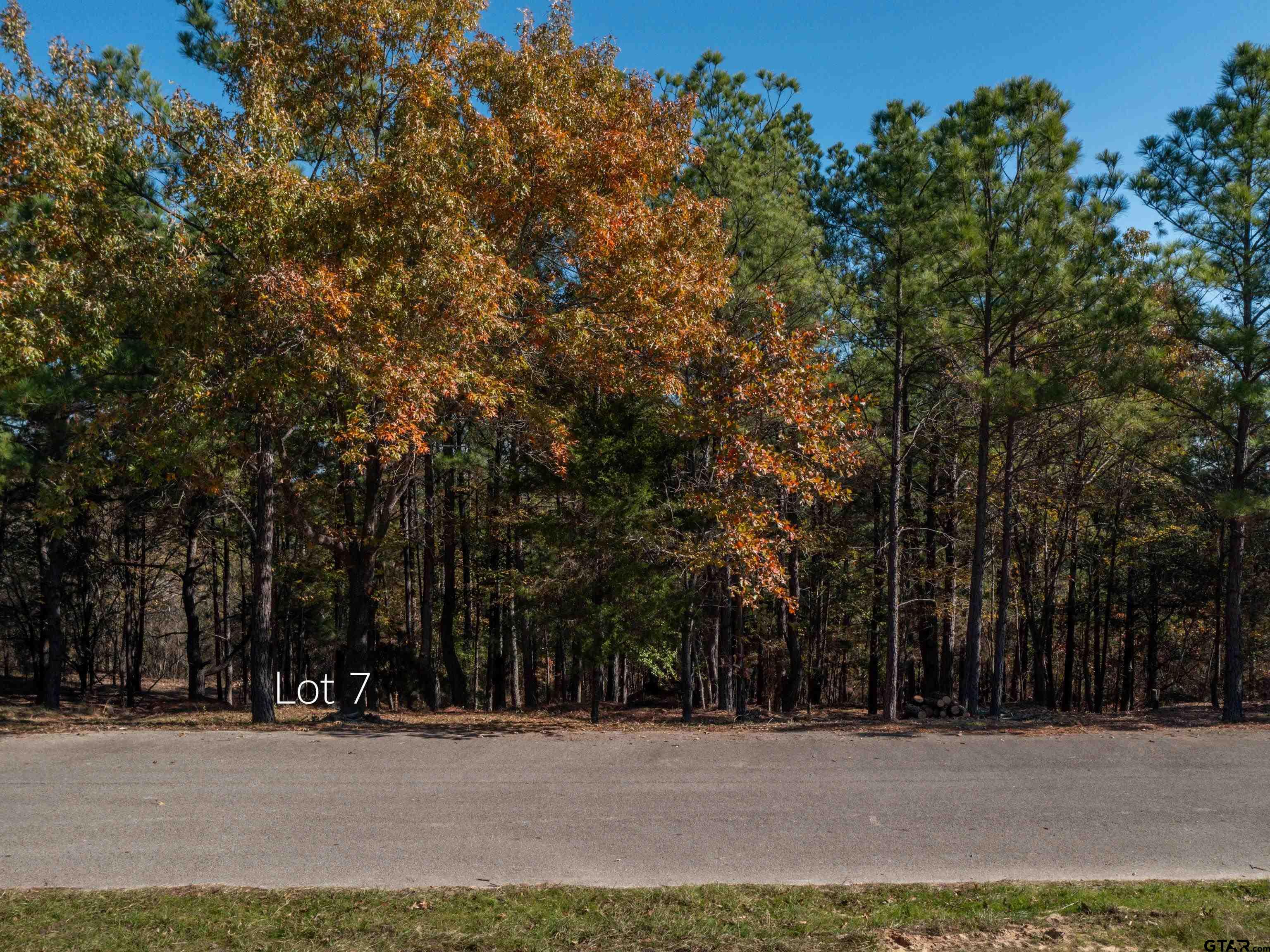 Lot 7 Skyline Dr, Brownsboro, Texas image 7