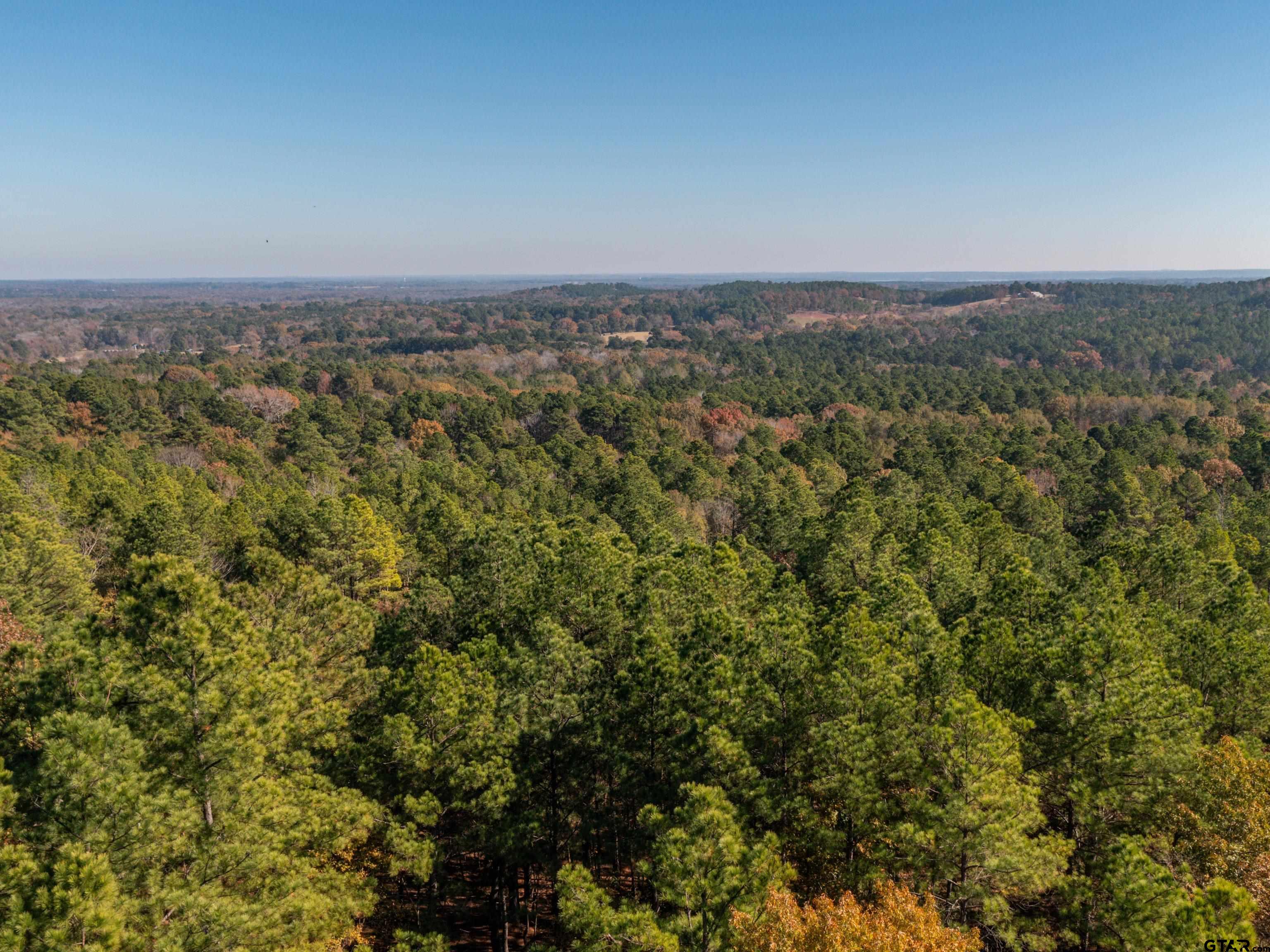Lot 8 Skyline Dr, Brownsboro, Texas image 8