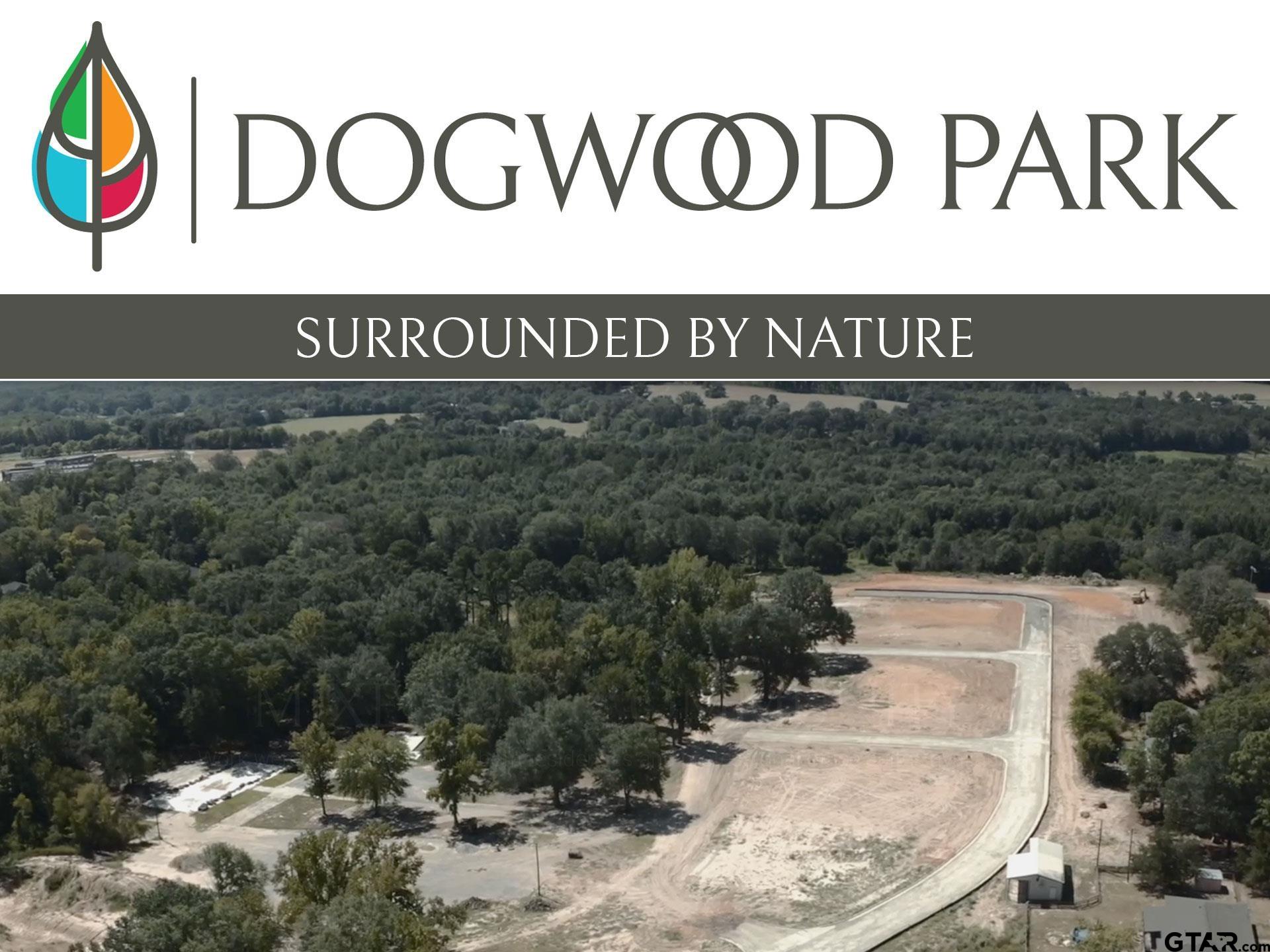 2257 Dogwood Park Blvd, Tyler, Texas image 1