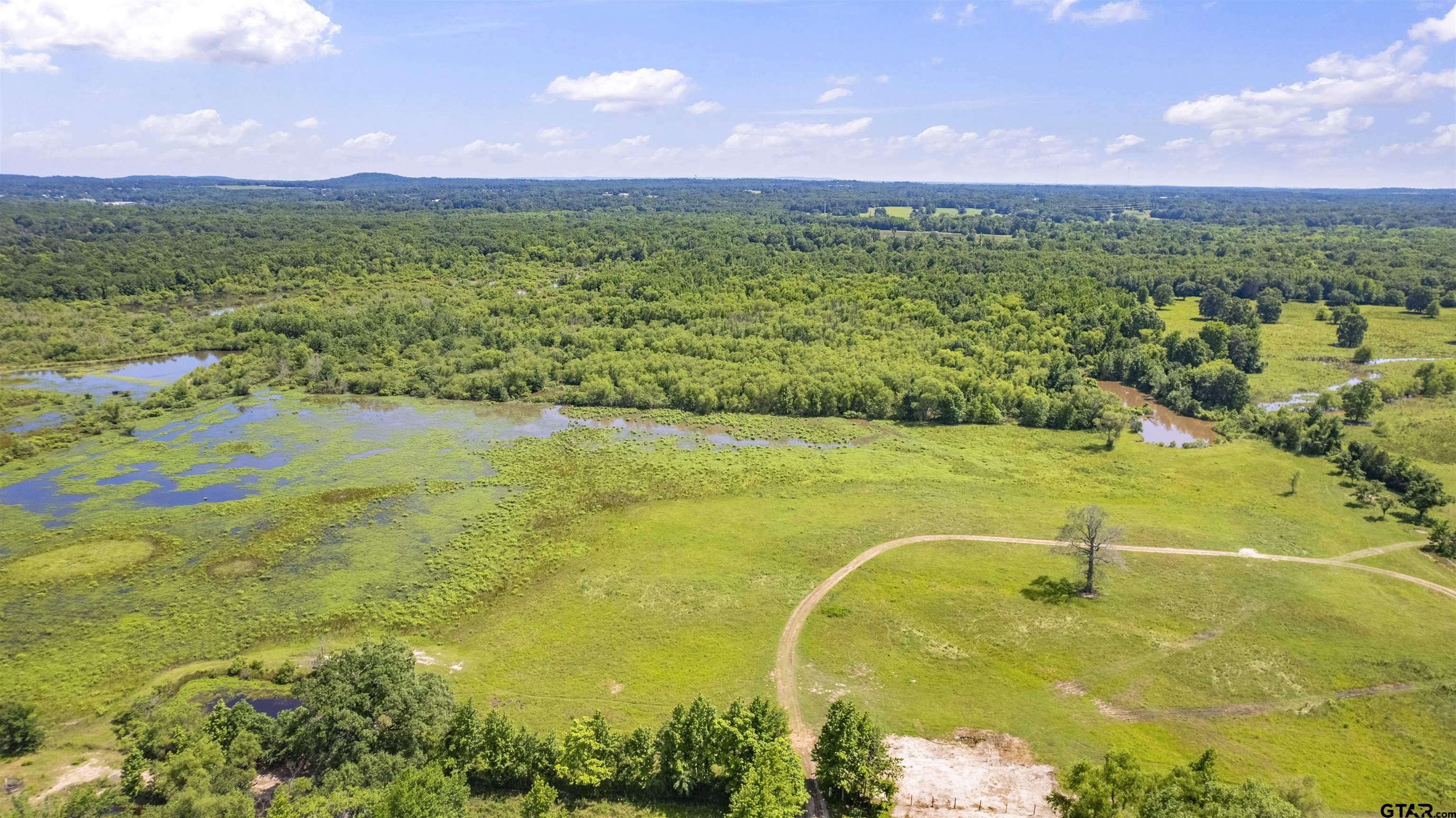 12250 Cr 3513, Brownsboro, Texas image 1