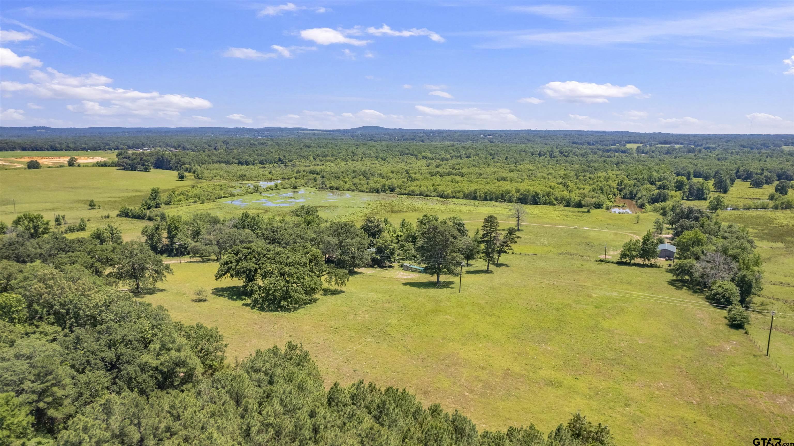 12250 Cr 3513, Brownsboro, Texas image 14