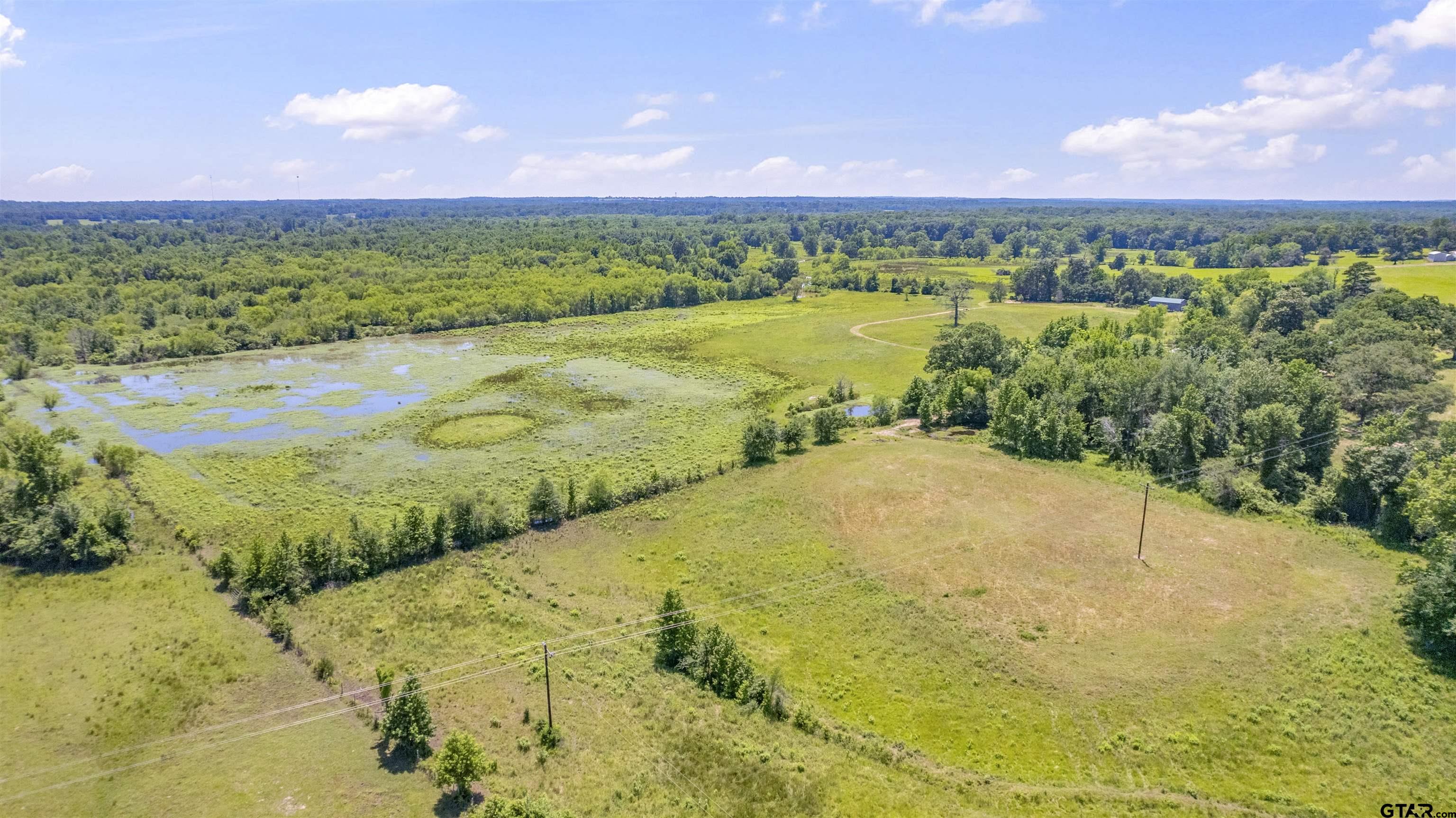 12250 Cr 3513, Brownsboro, Texas image 15