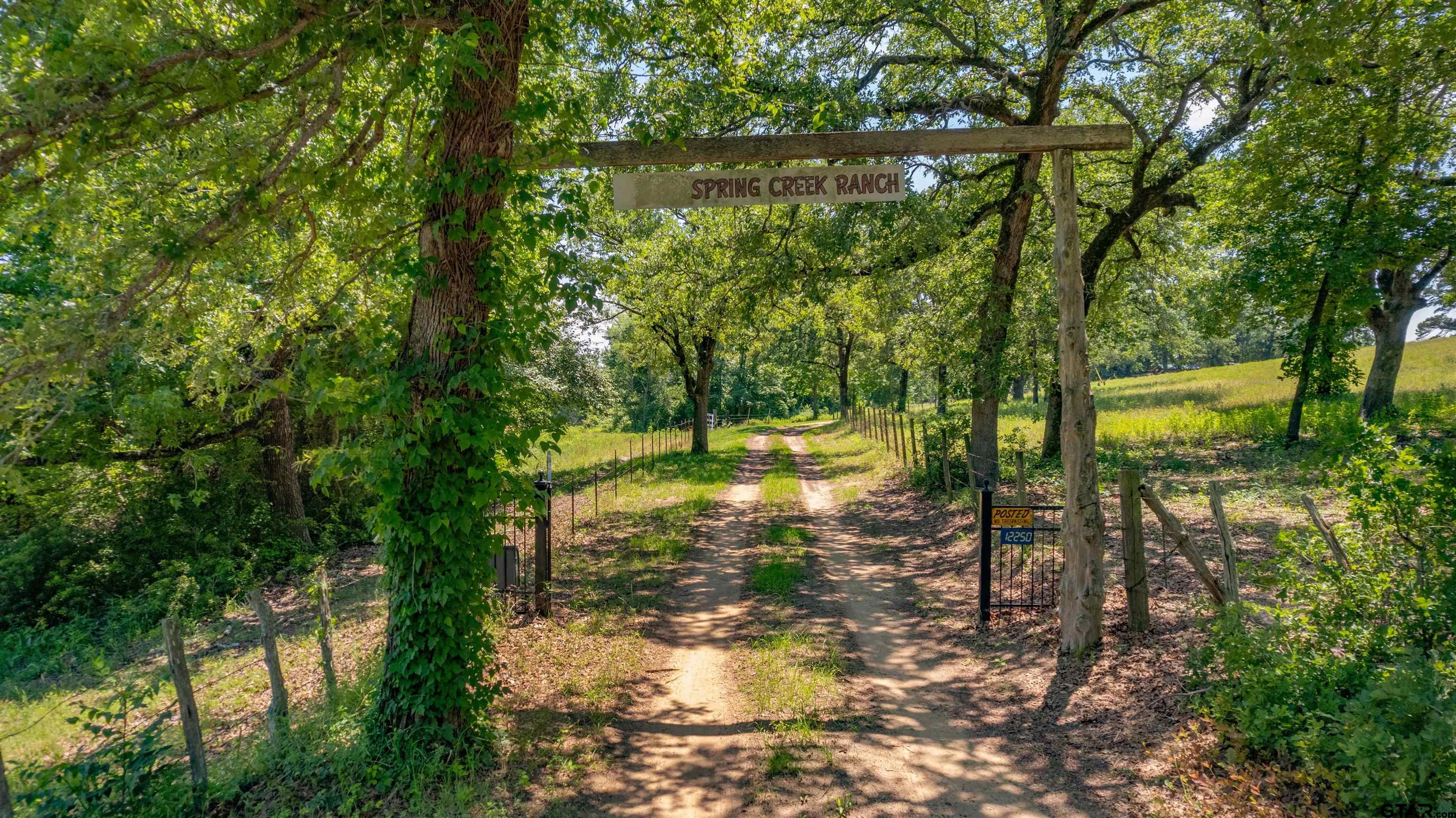 12250 Cr 3513, Brownsboro, Texas image 3