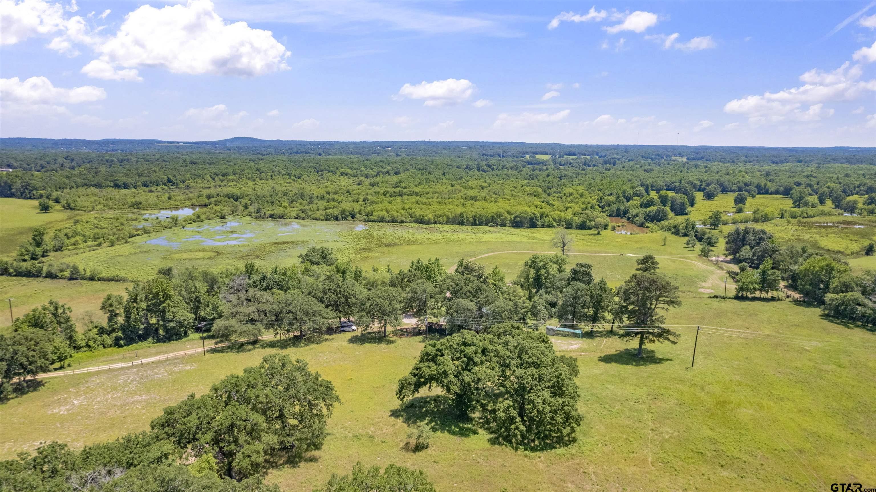 12250 Cr 3513, Brownsboro, Texas image 7
