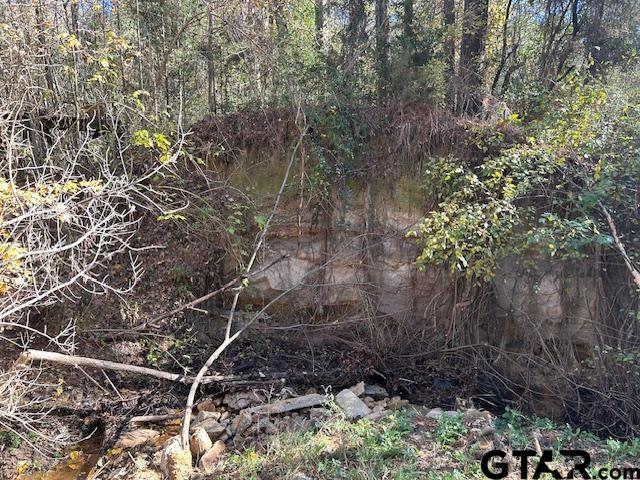 314 Timberline, Jacksonville, Texas image 40