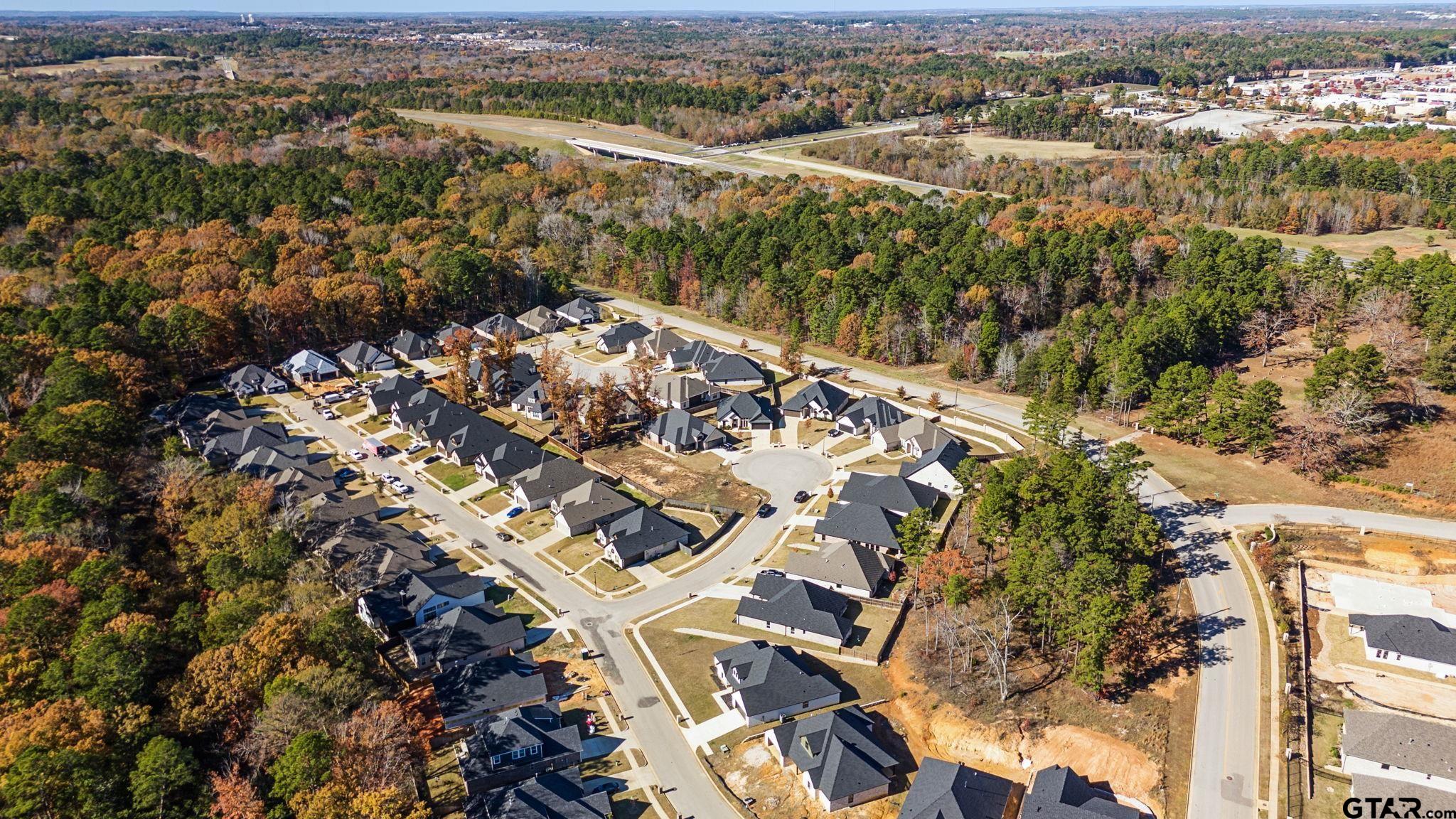 9162 Cave Branch Cove, Tyler, Texas image 3