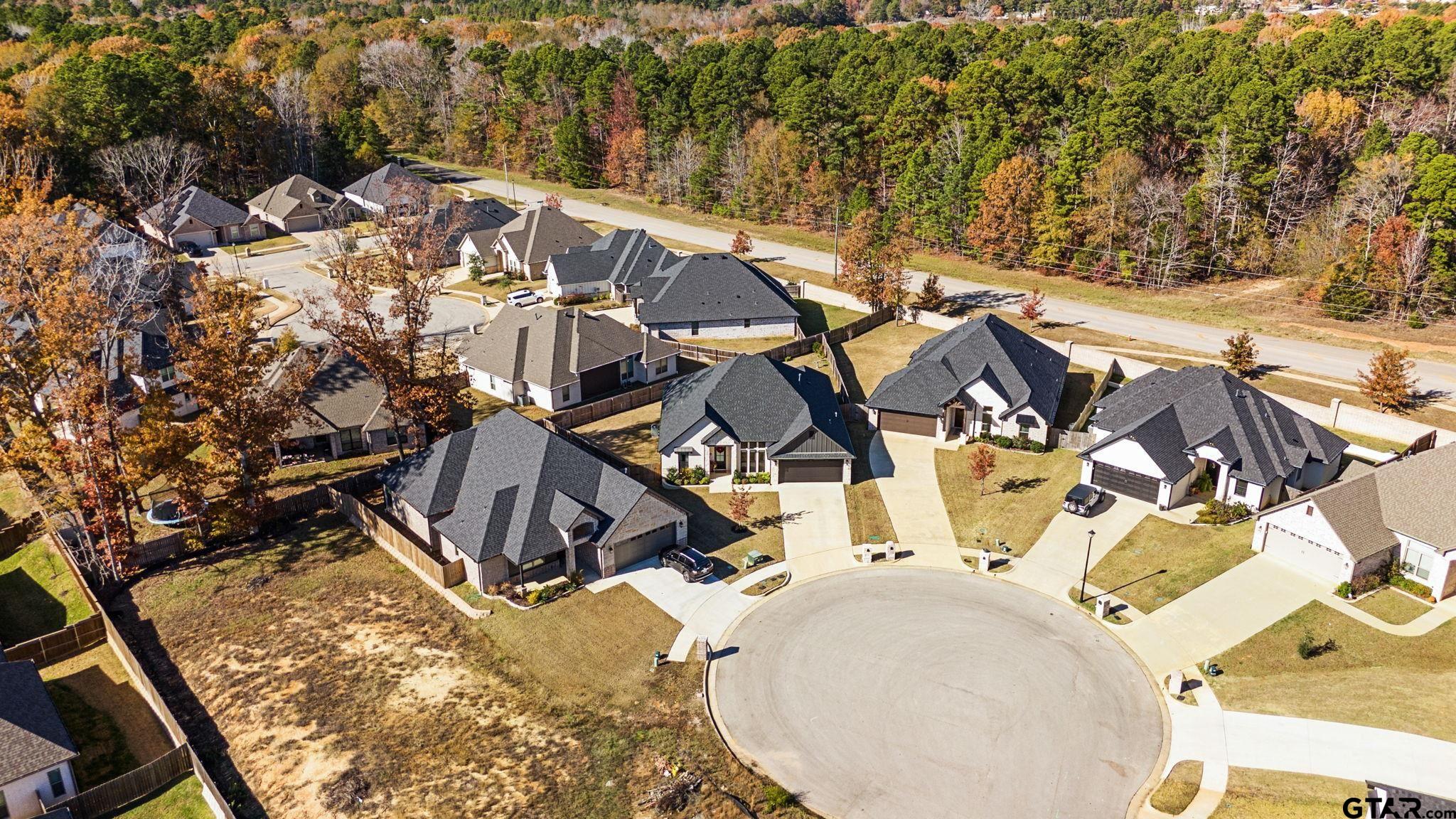 9162 Cave Branch Cove, Tyler, Texas image 28
