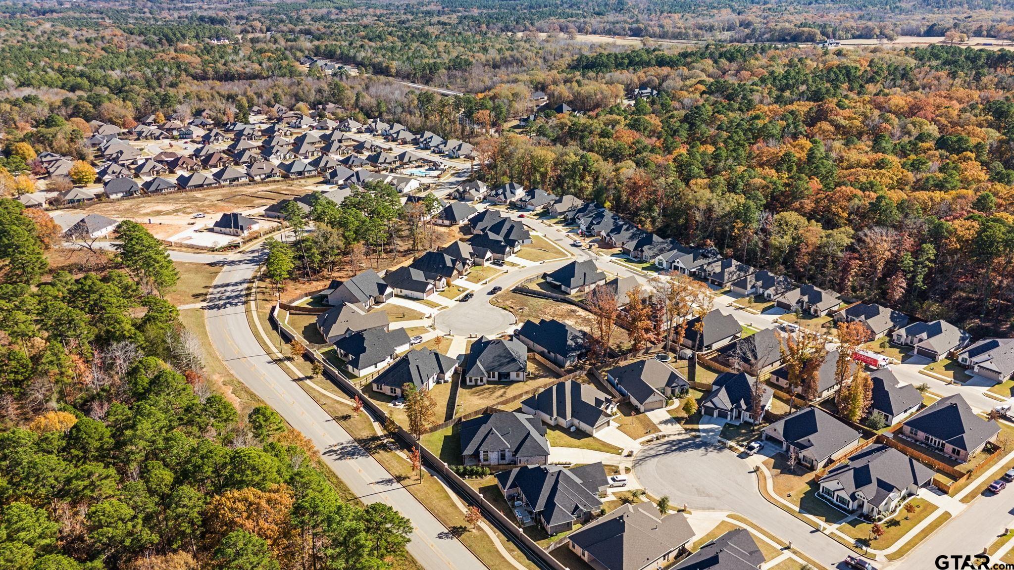 9162 Cave Branch Cove, Tyler, Texas image 29