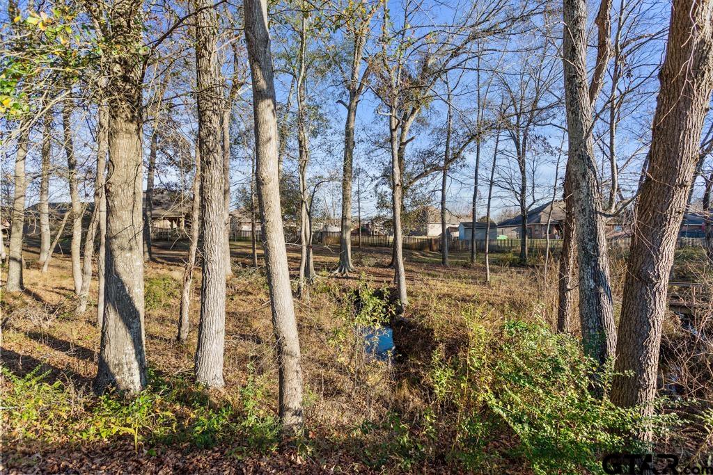 6023 Grace Ave., Tyler, Texas image 35