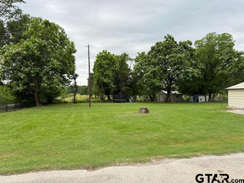 393 3144, Quitman, Texas image 45