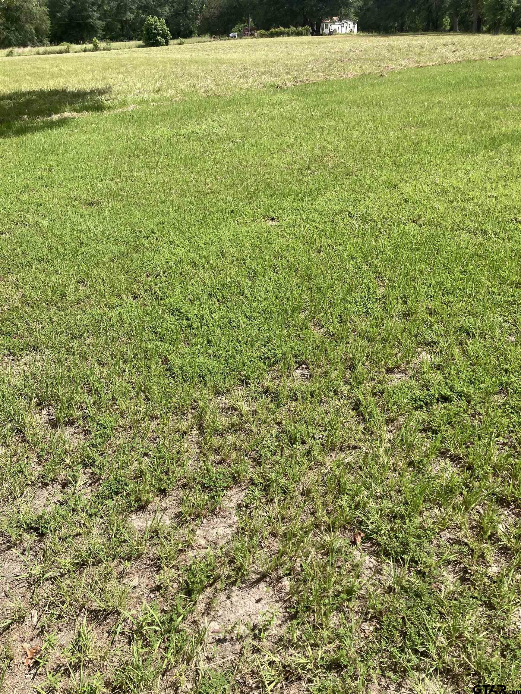 Picture 23