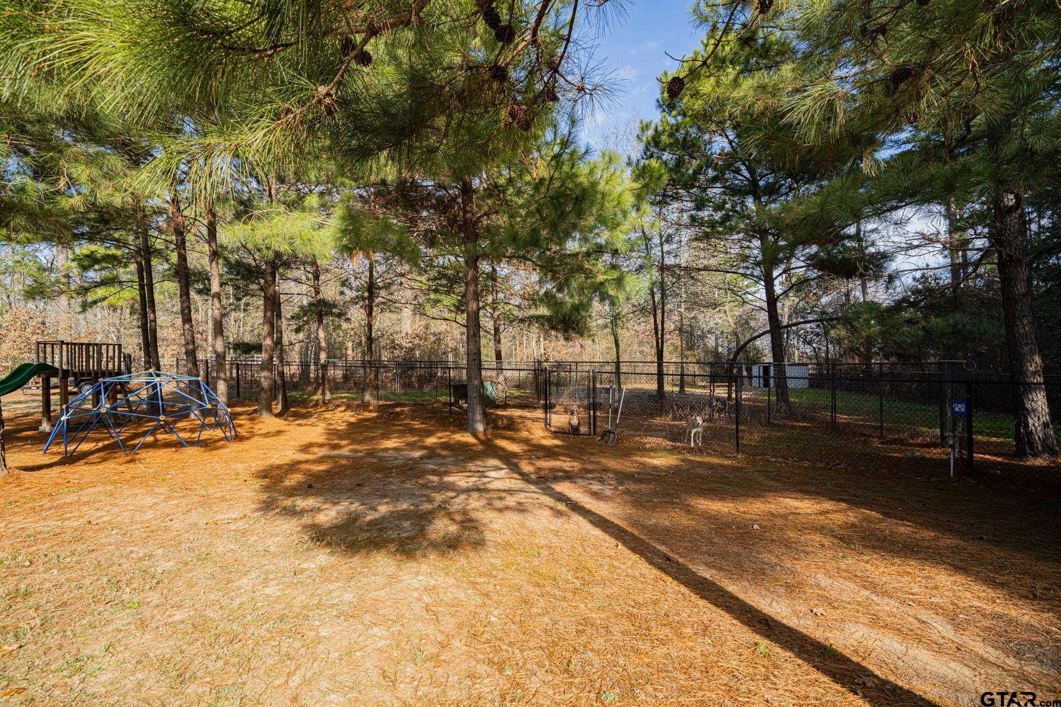 2953 Fm 2339, Ben Wheeler, Texas image 38
