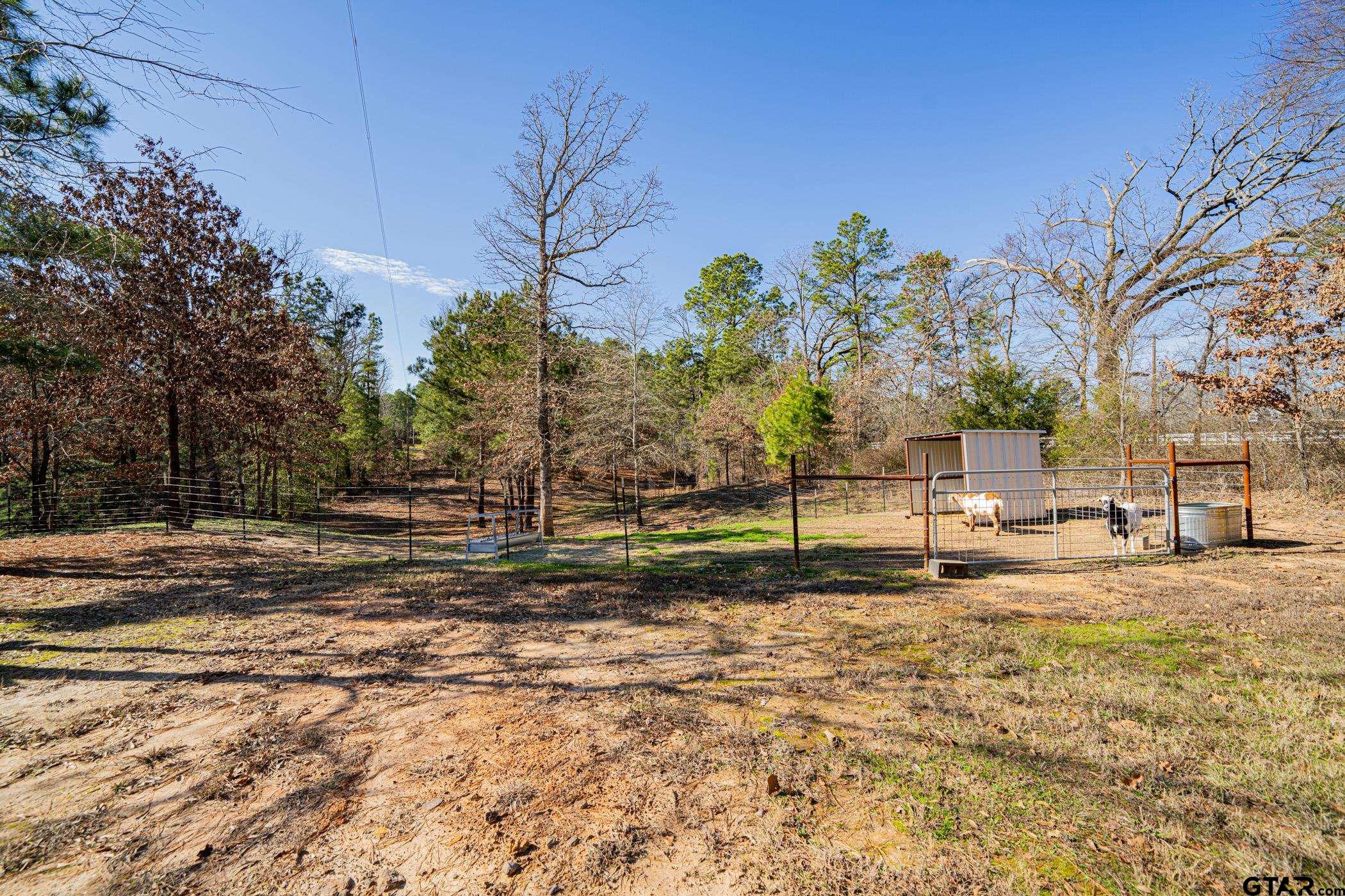 2953 Fm 2339, Ben Wheeler, Texas image 39