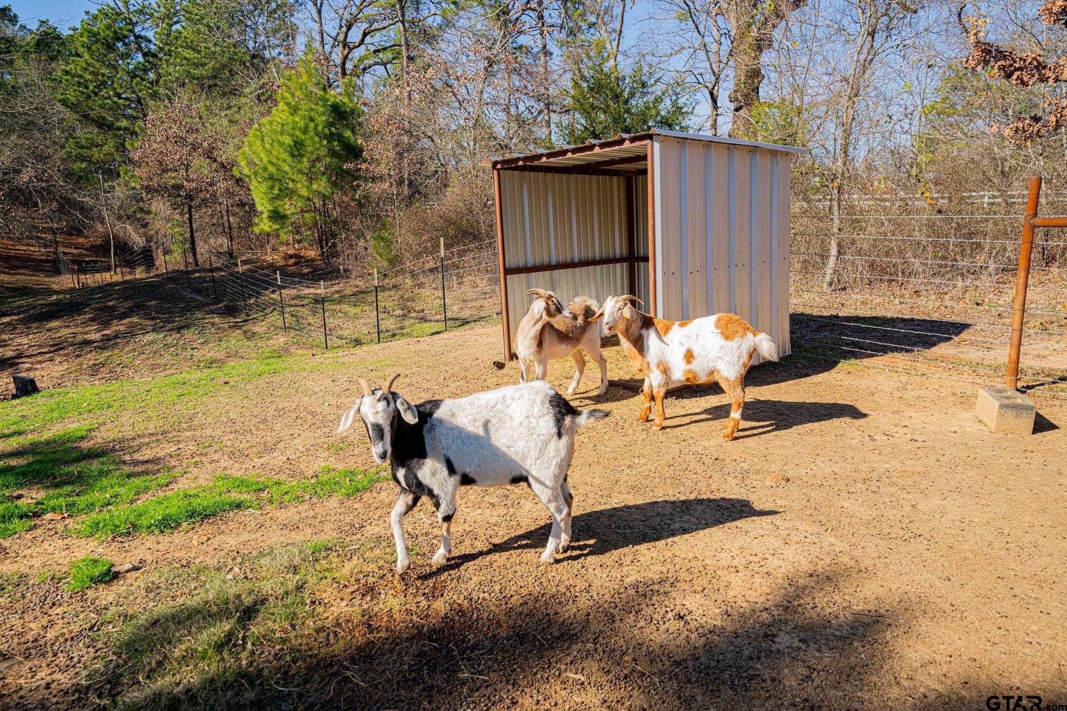 2953 Fm 2339, Ben Wheeler, Texas image 41