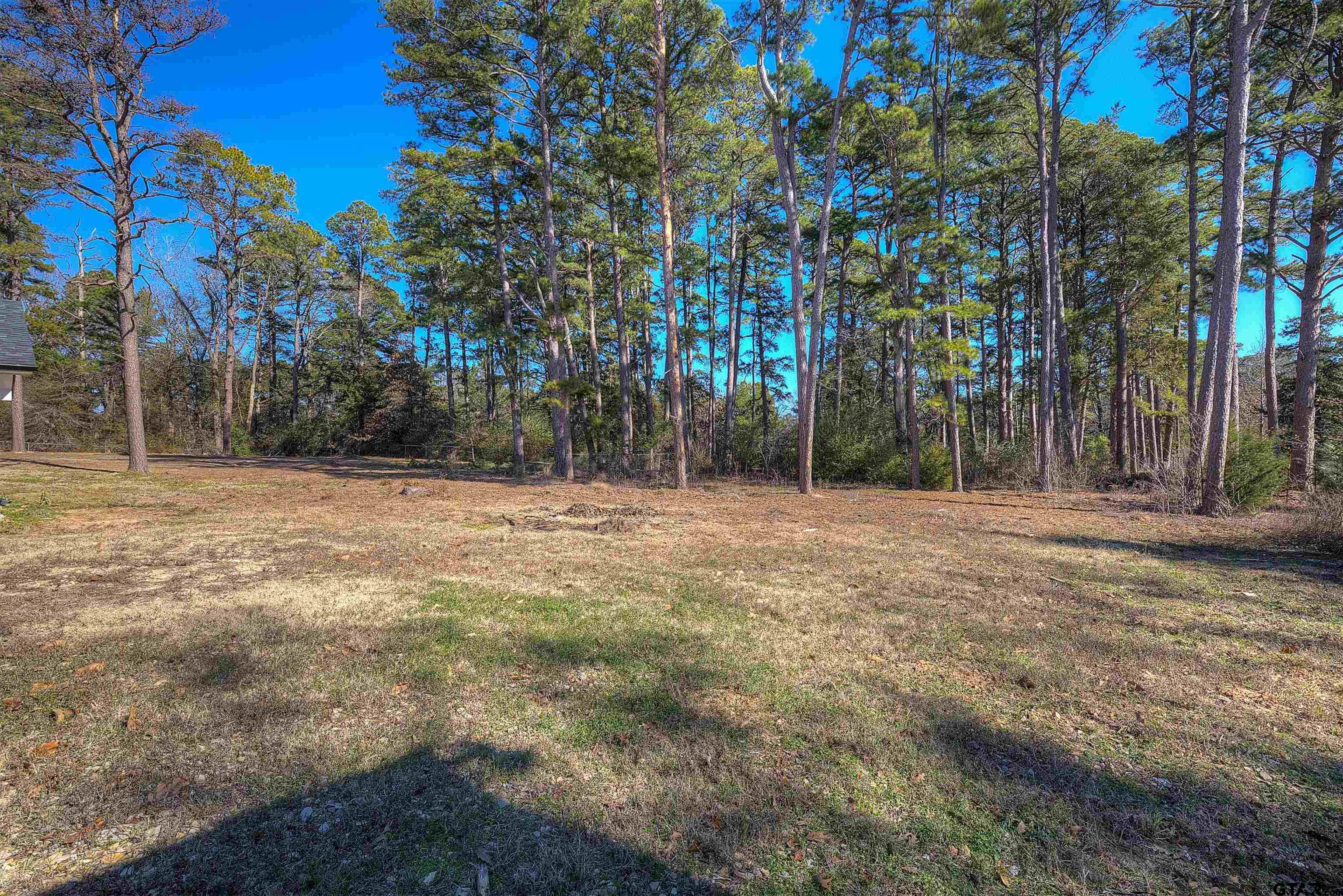2177 Fm 115, Mt Vernon, Texas image 24