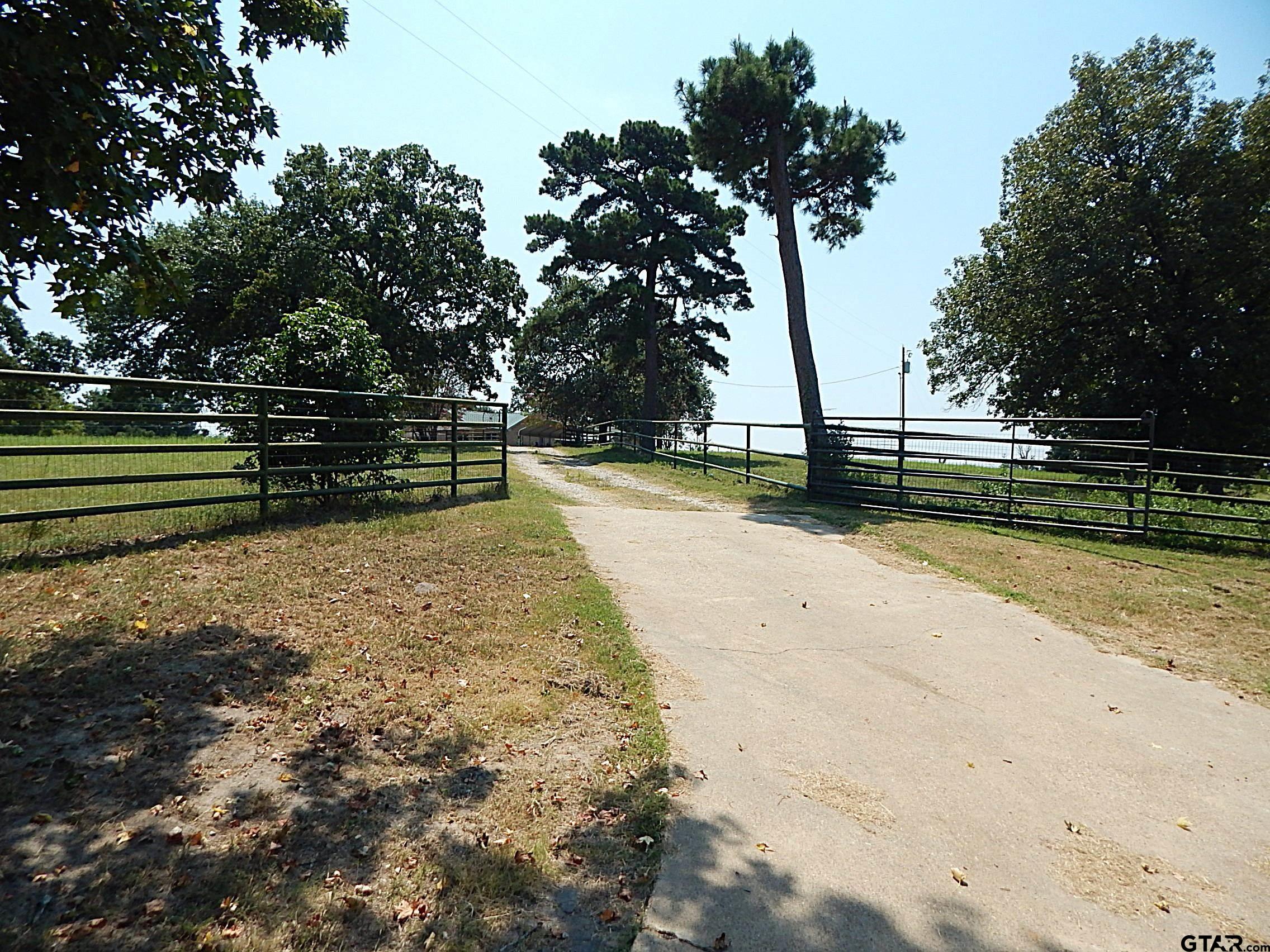 Picture 25