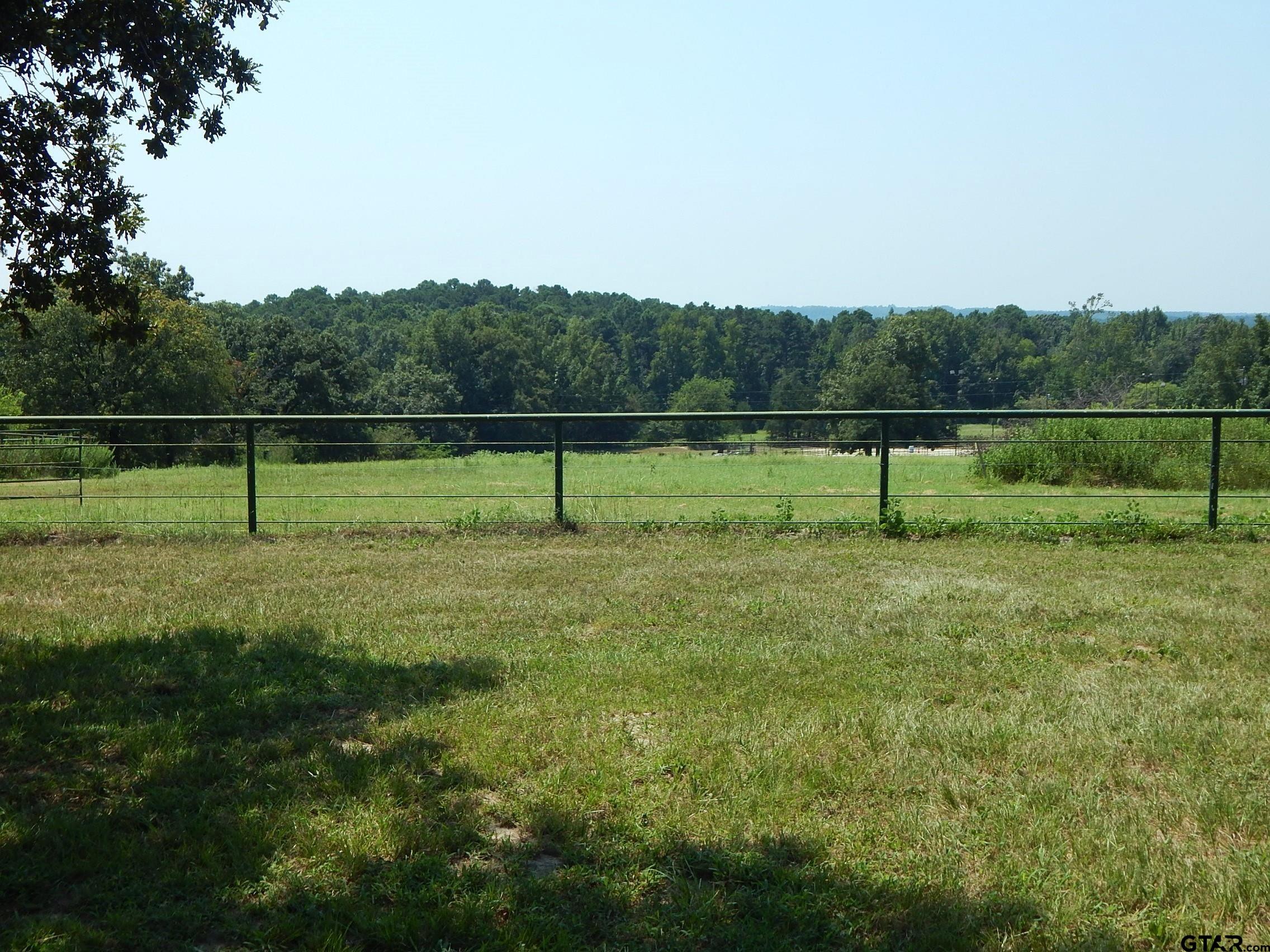 Picture 41