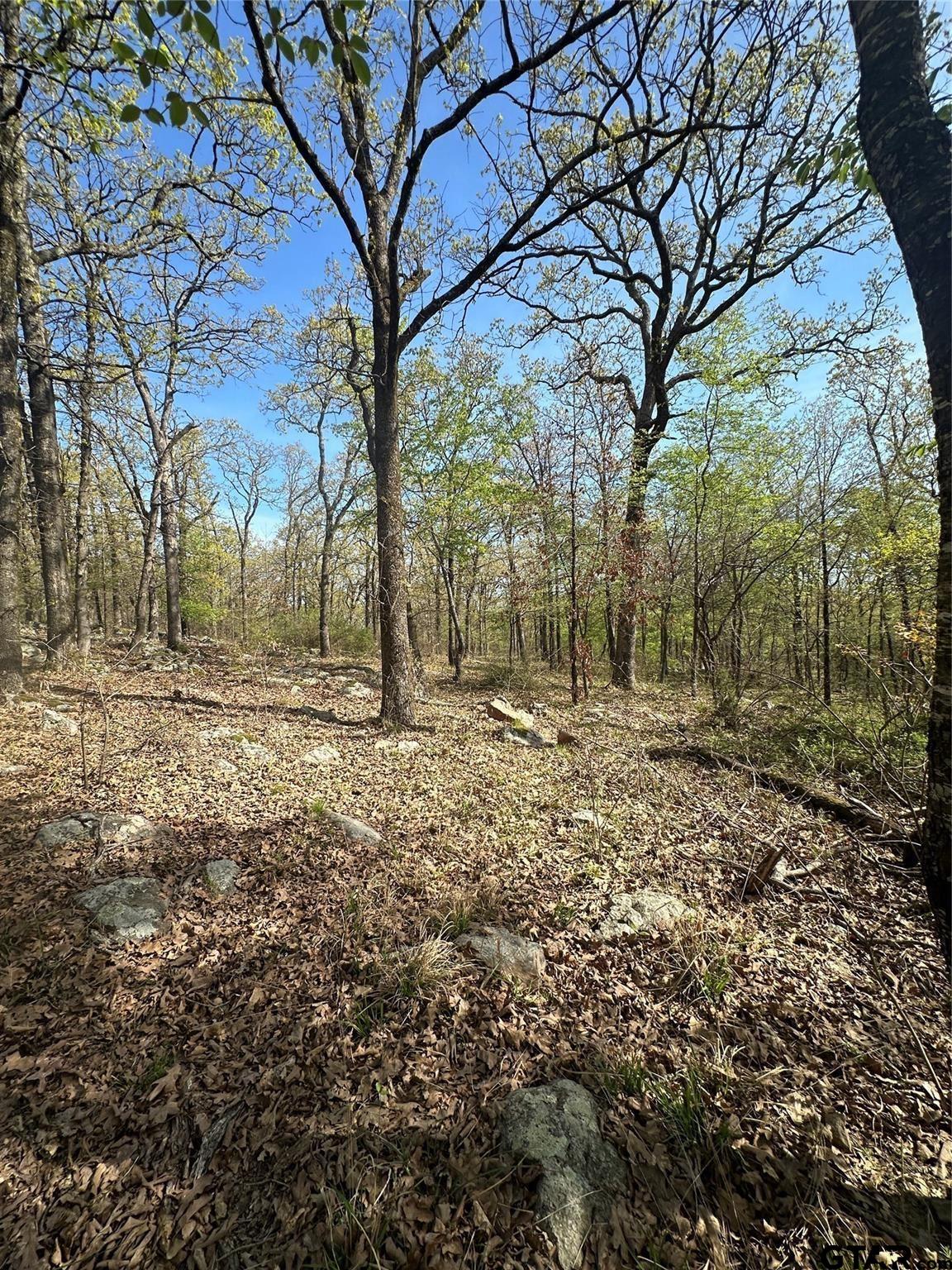 Property Image 18