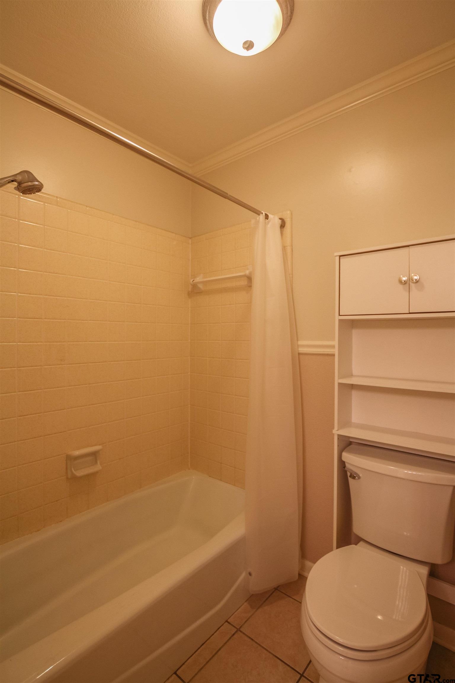 Picture 19