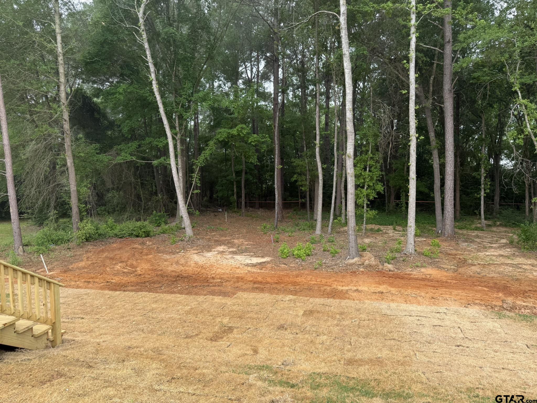 Picture 35