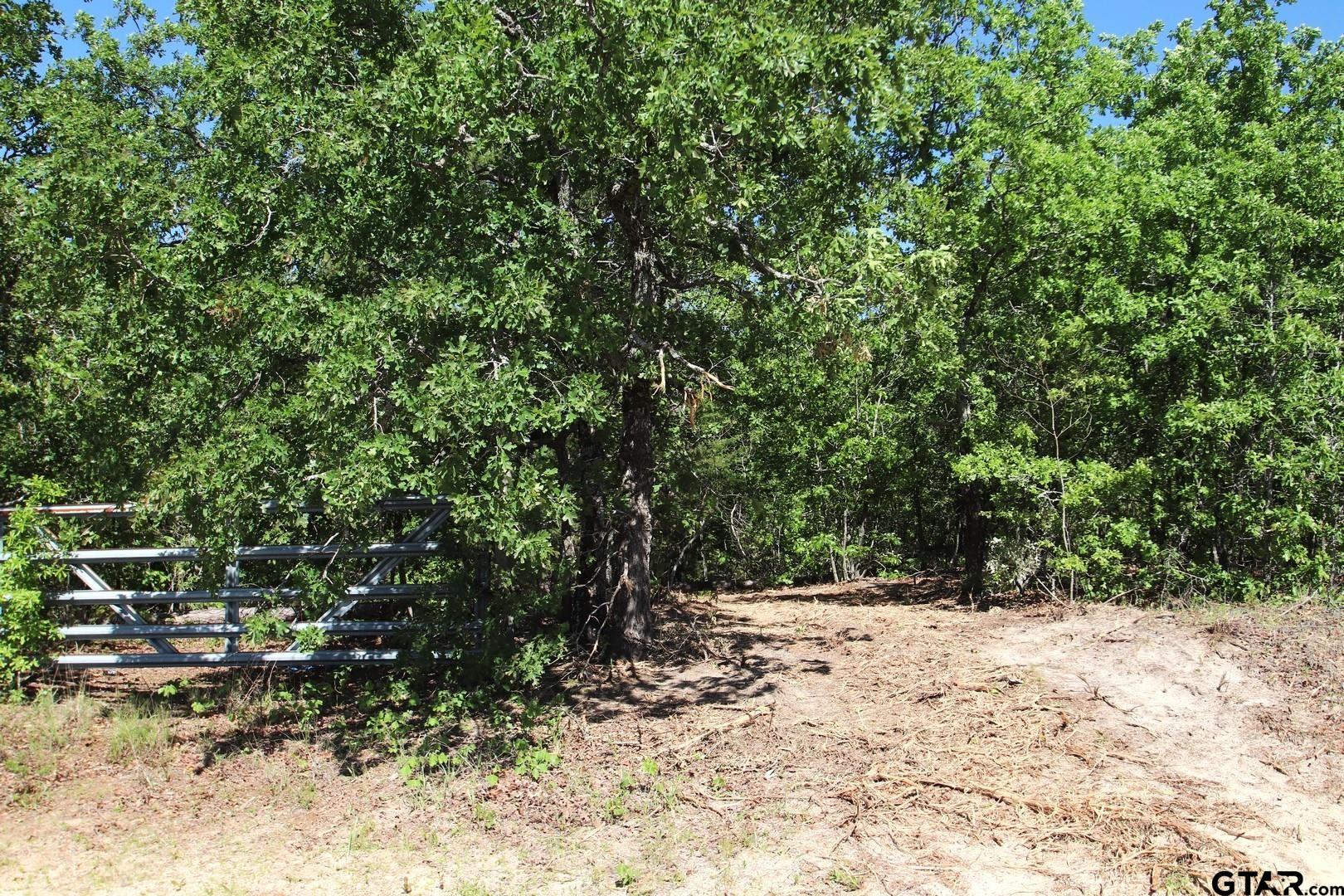 Property Image 45