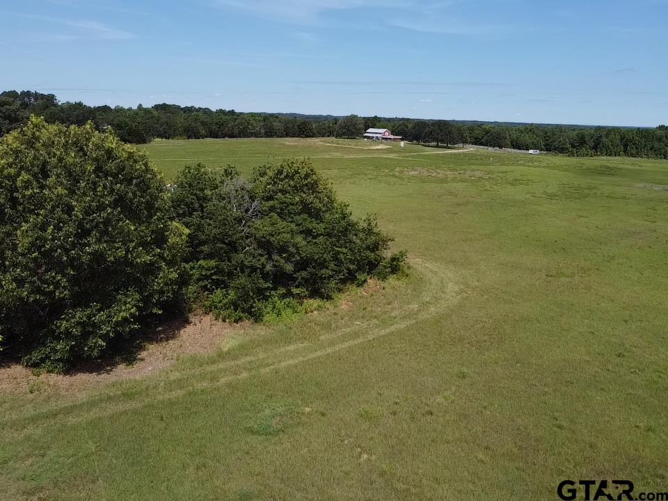 Picture 25