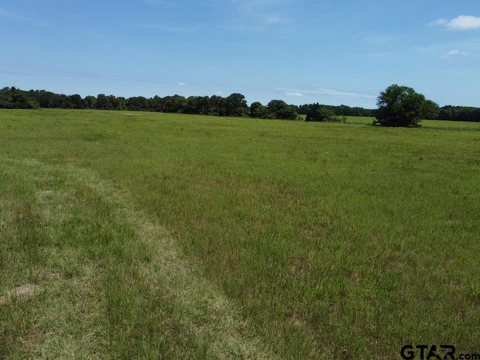 Picture 19