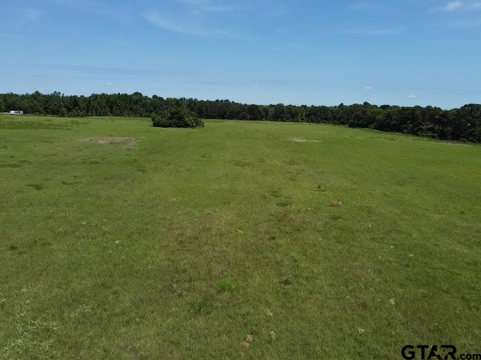 Picture 20