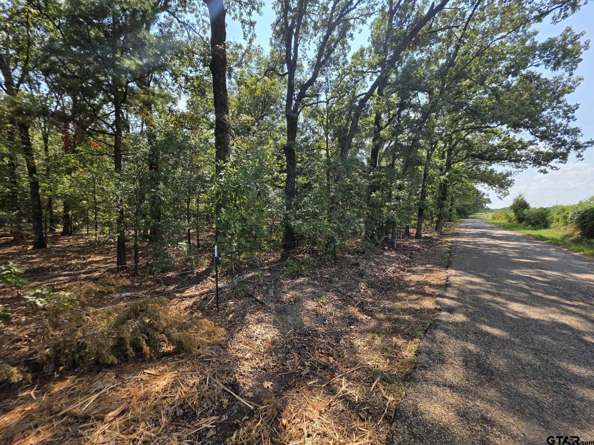 Property Image 47