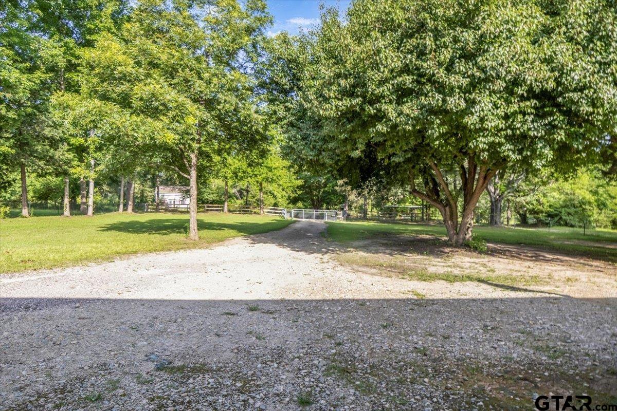 Property Image 42