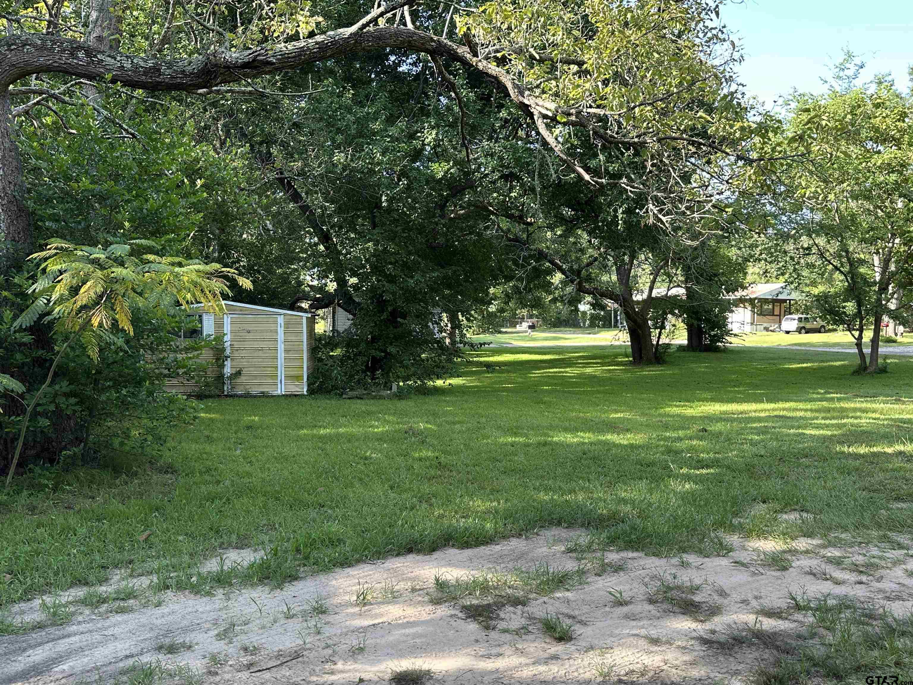 Picture 5