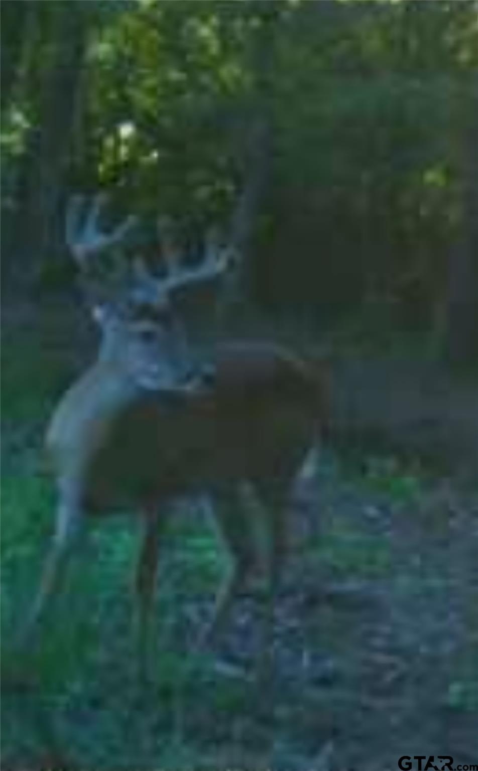 Picture 3