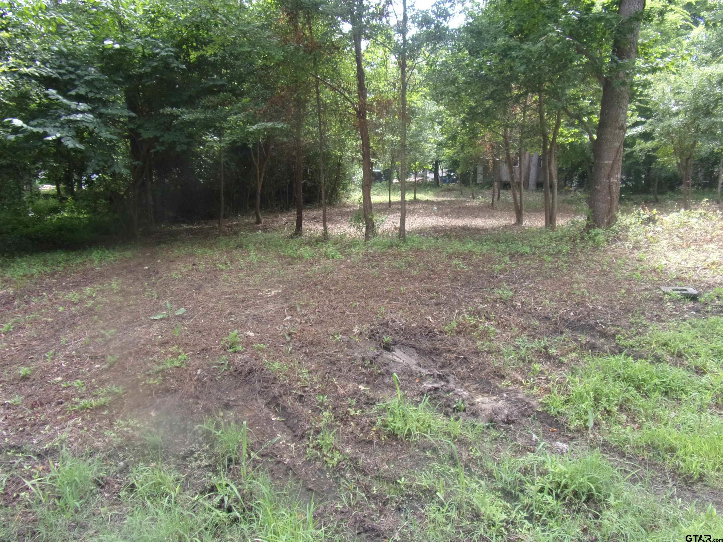 Picture 2
