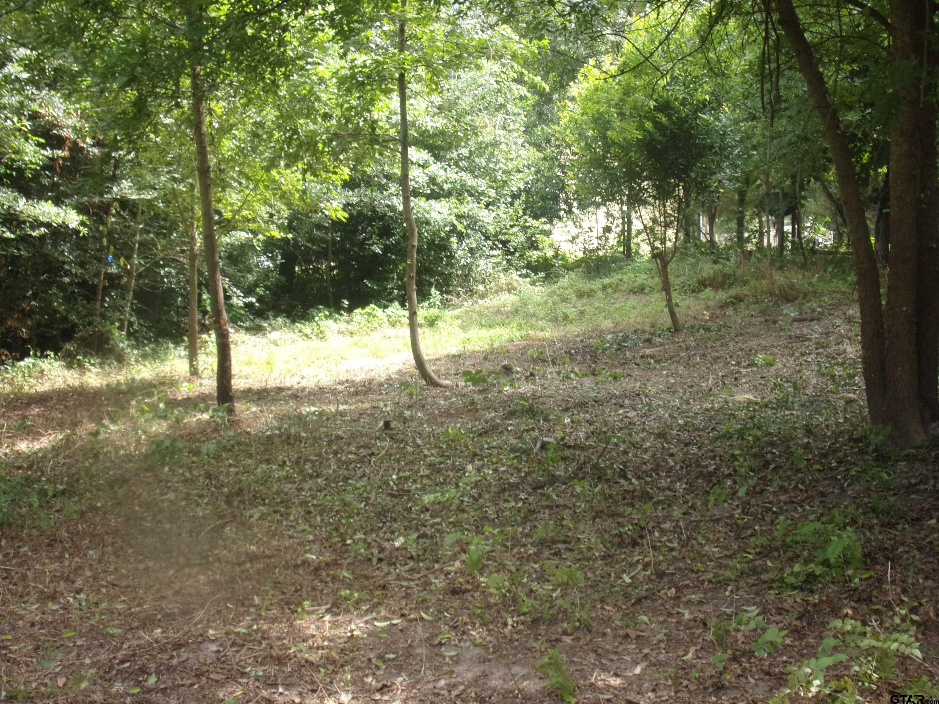 Picture 3