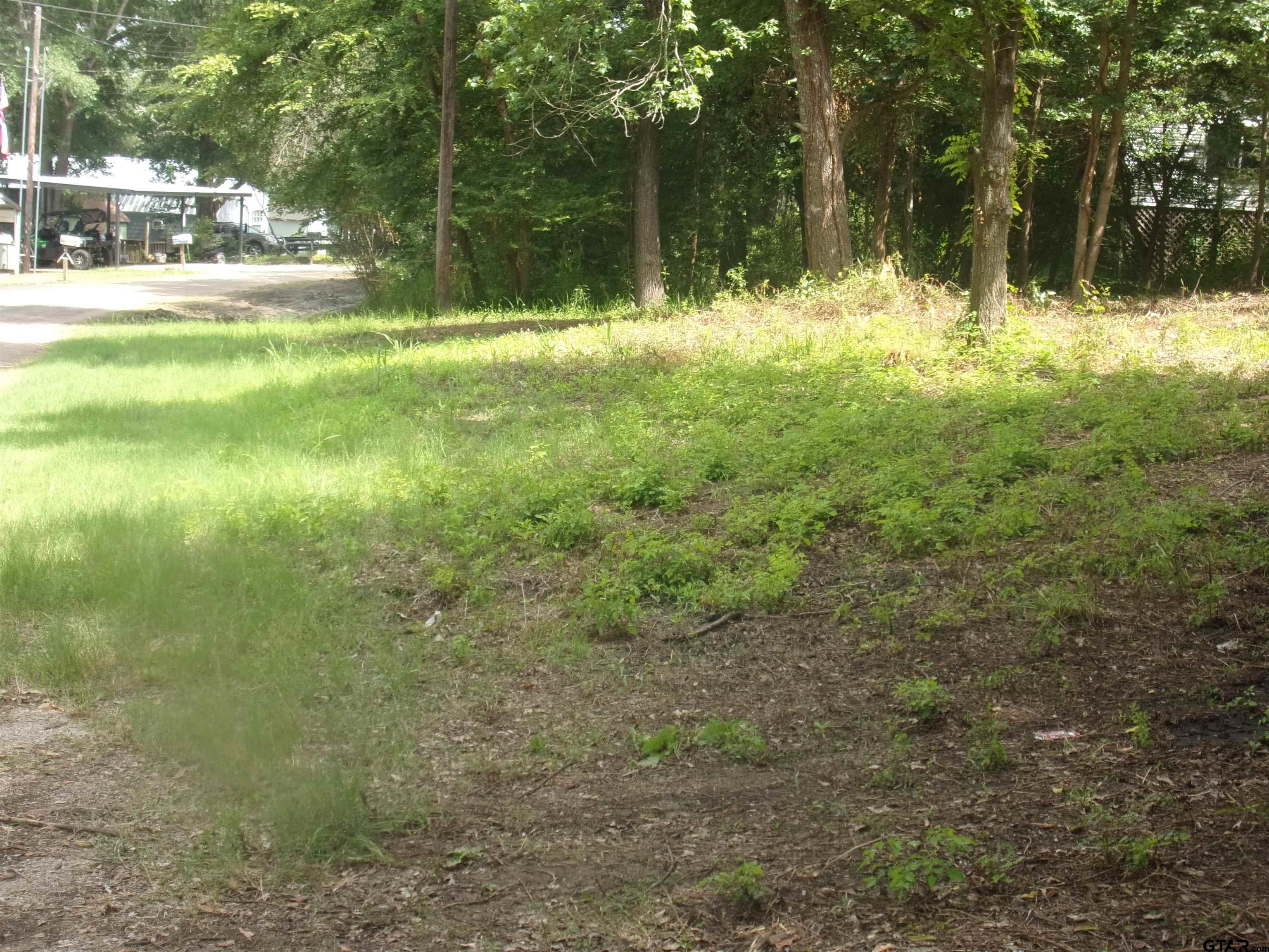 Picture 6
