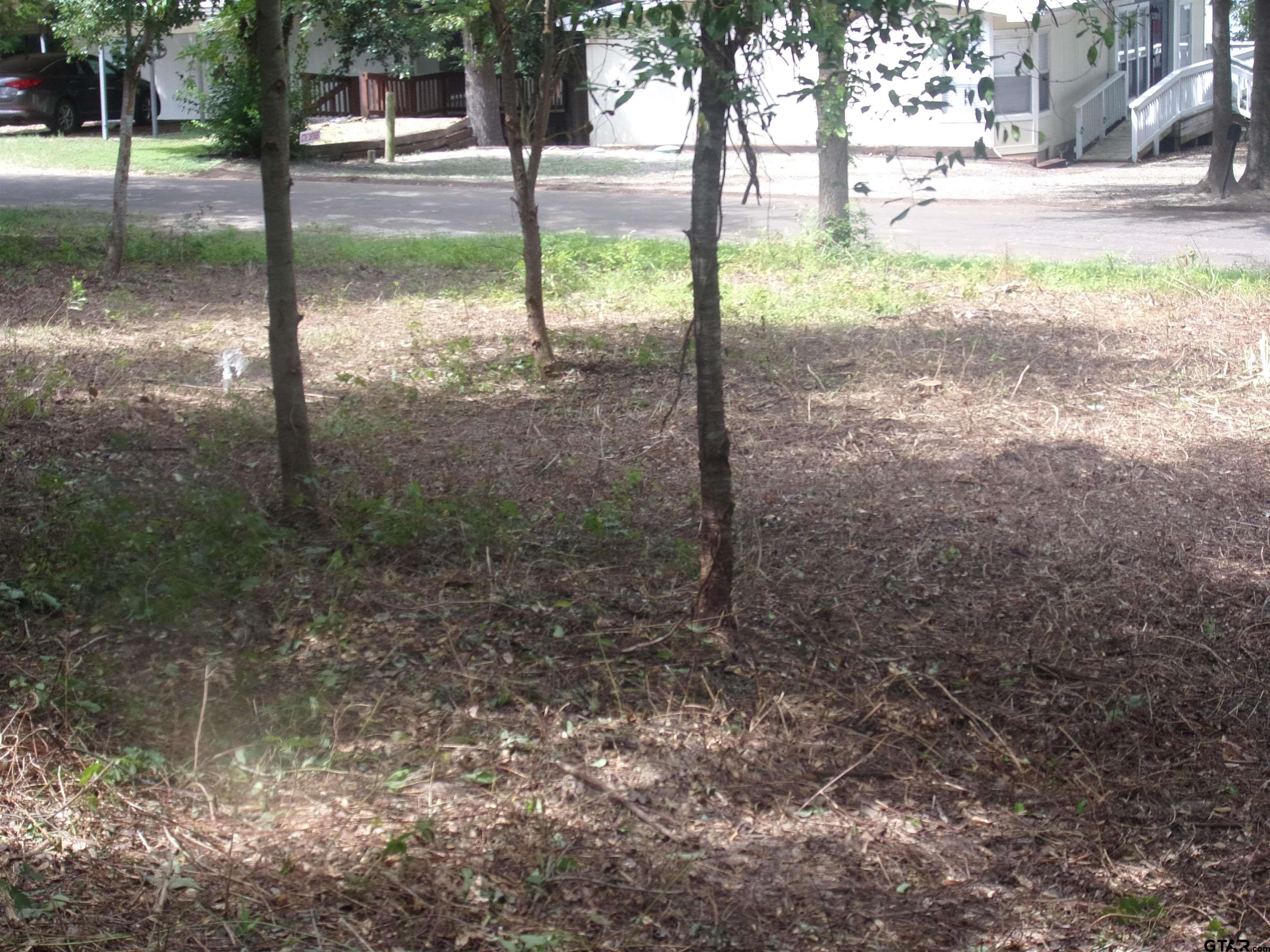 Picture 9