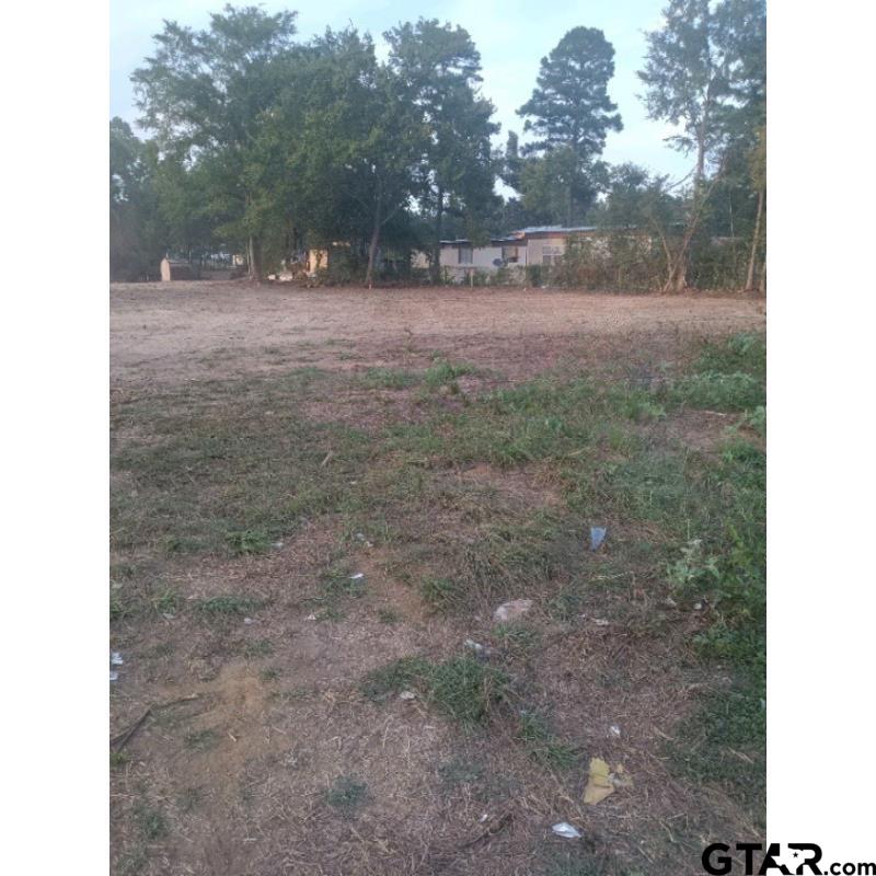 Picture 3