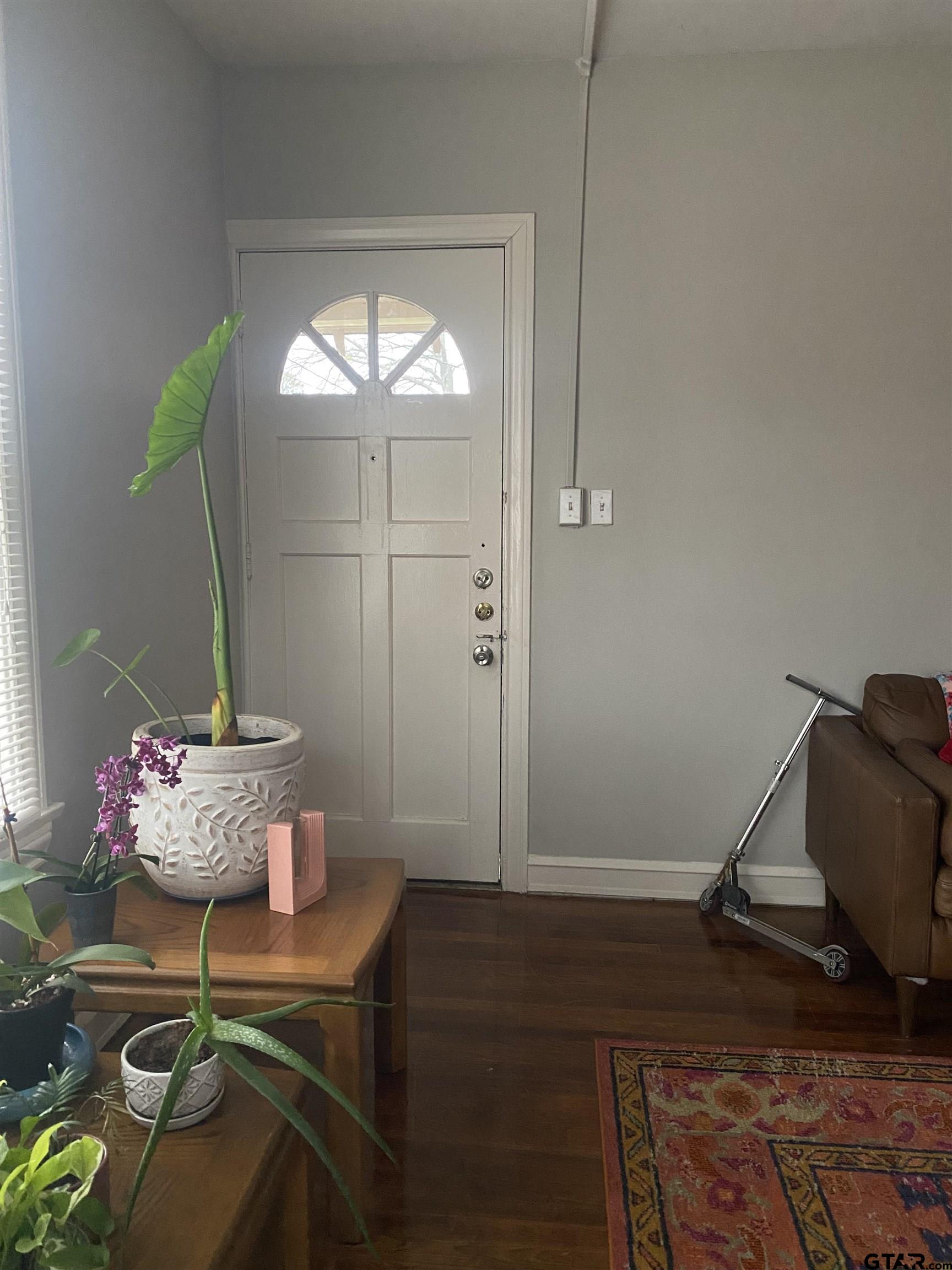 Picture 23