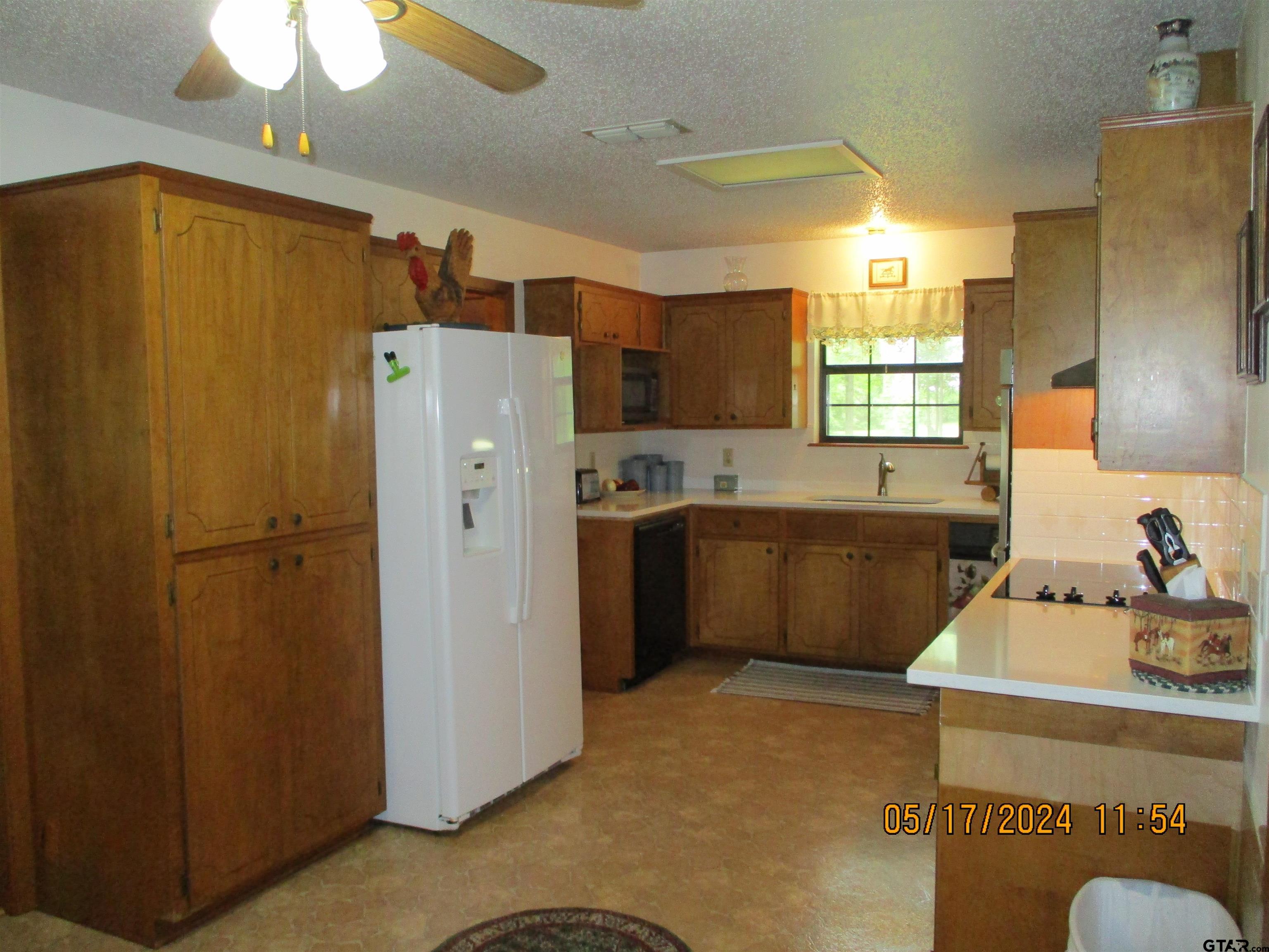 Picture 16