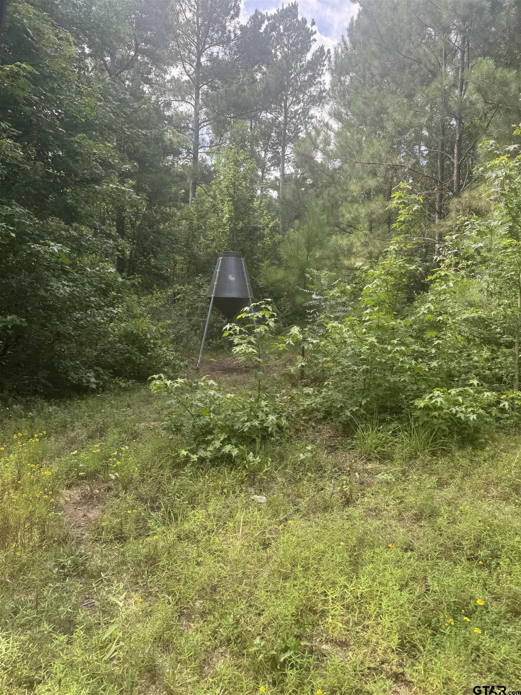 Picture 18