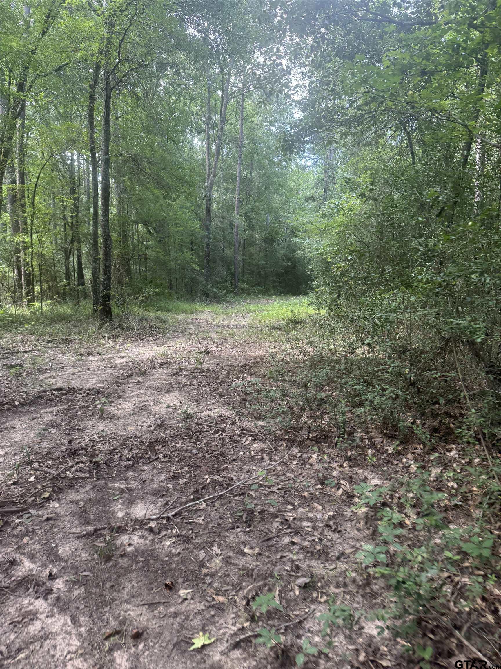 Picture 19