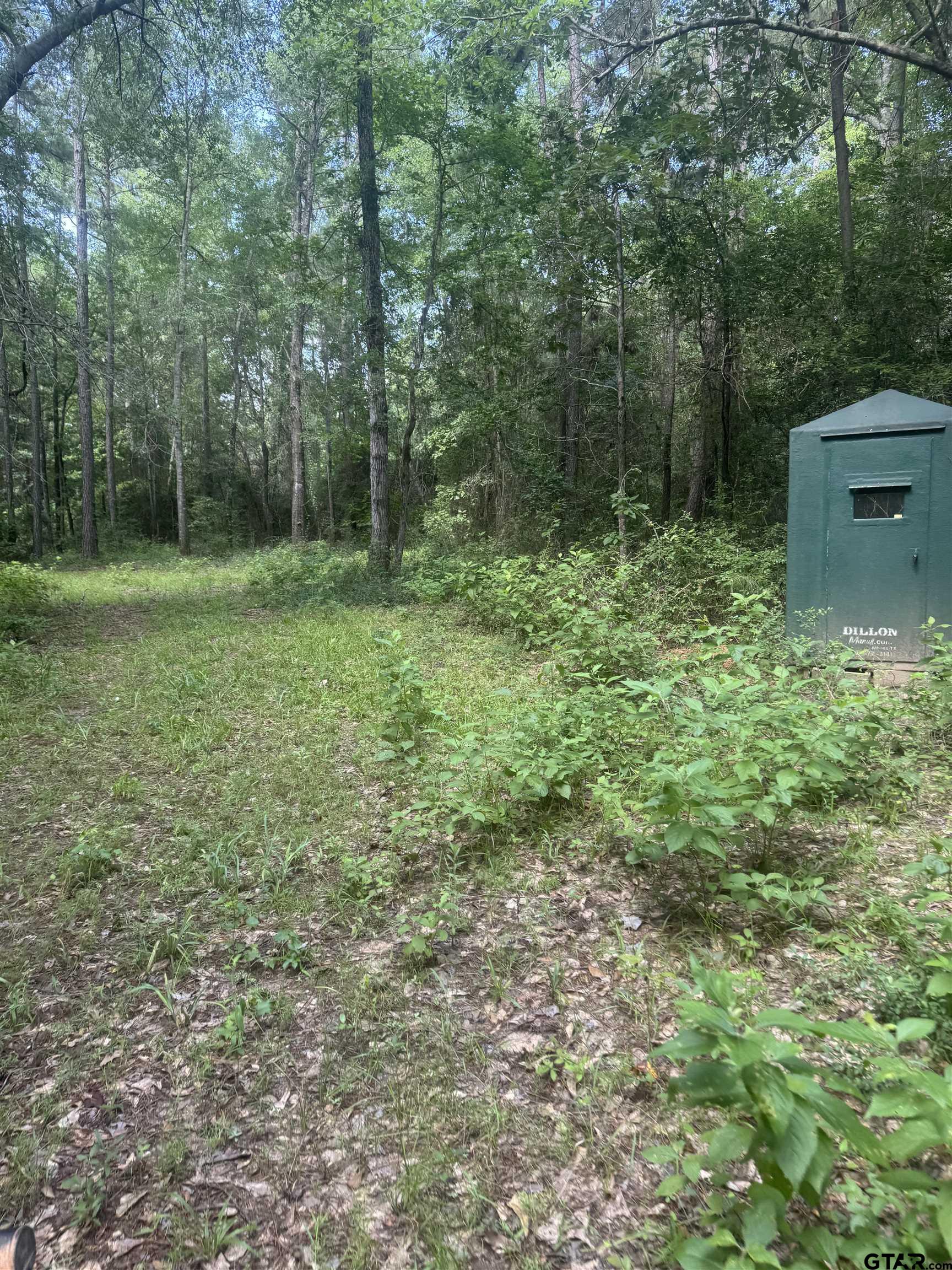 Picture 21