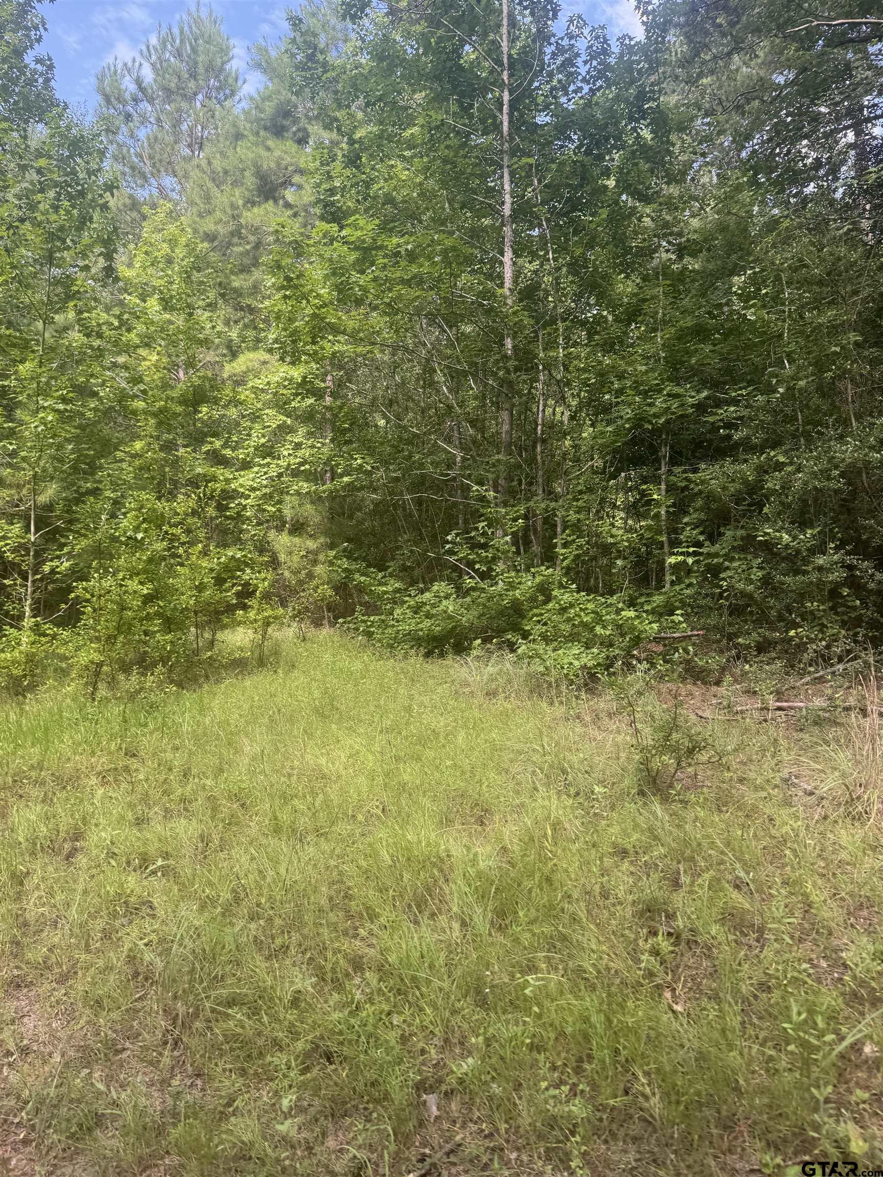 Picture 28