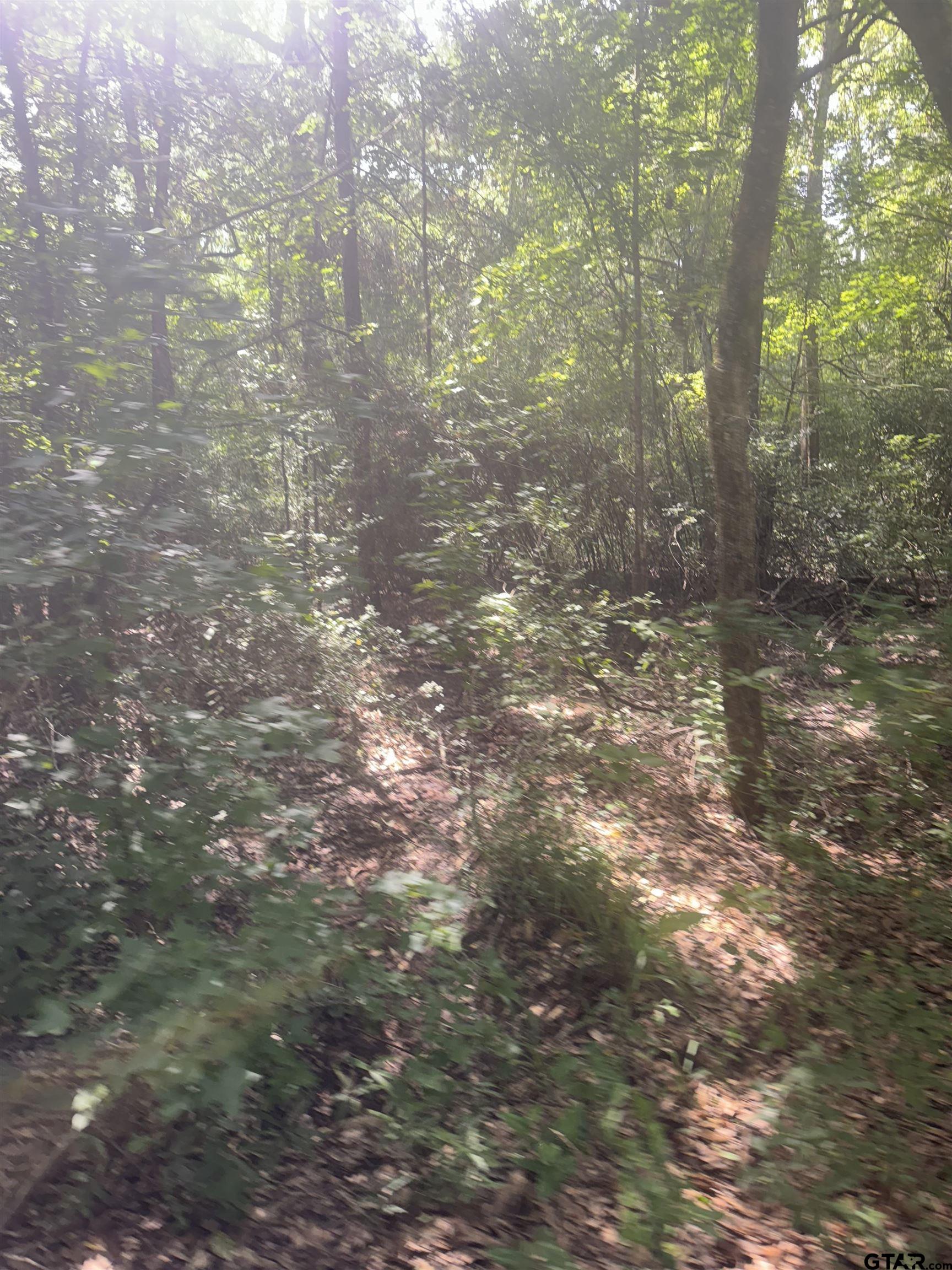 Picture 8