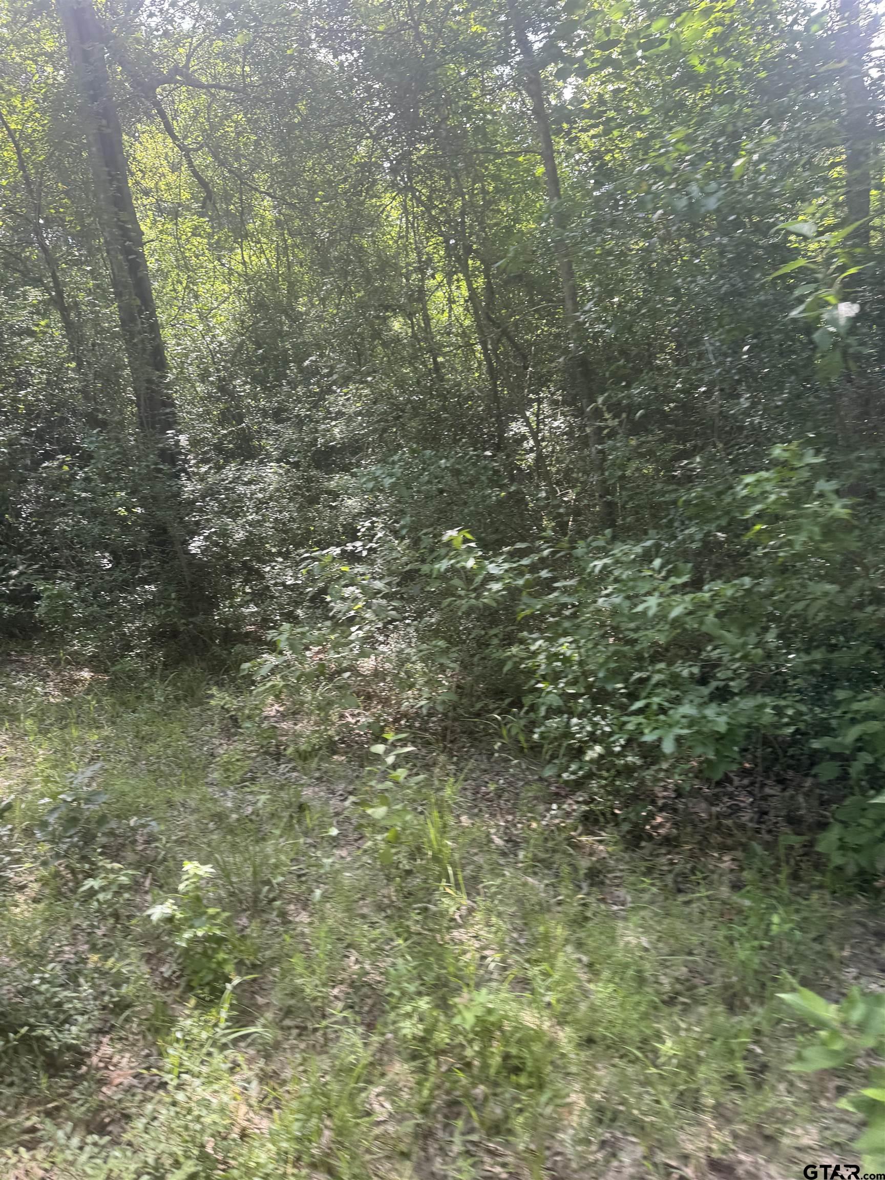Picture 9
