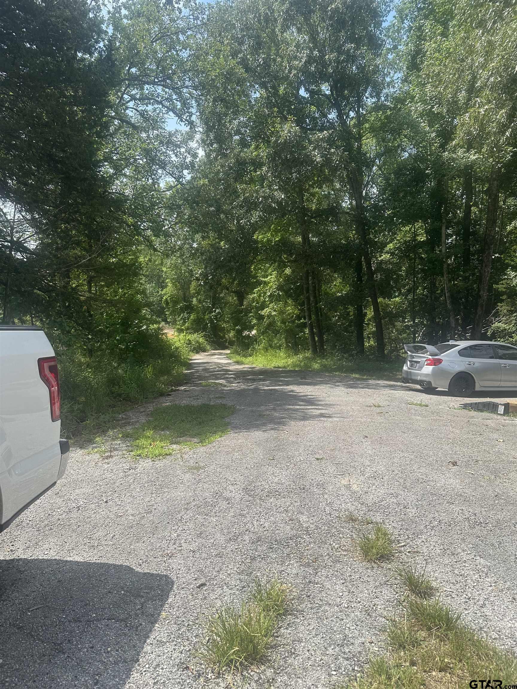Picture 20