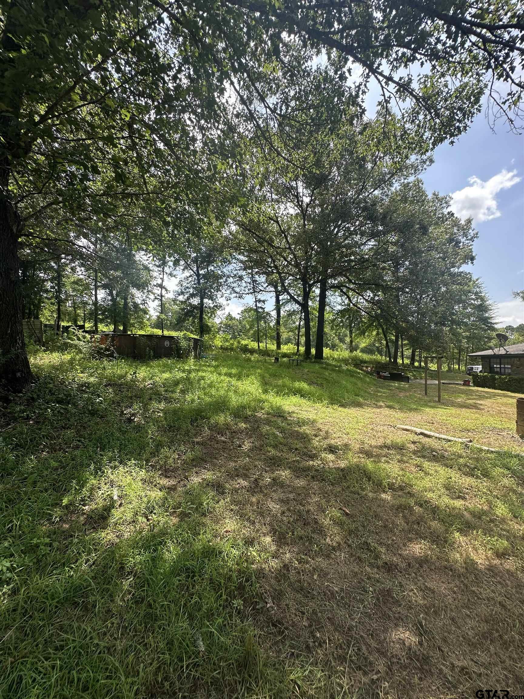 Picture 21